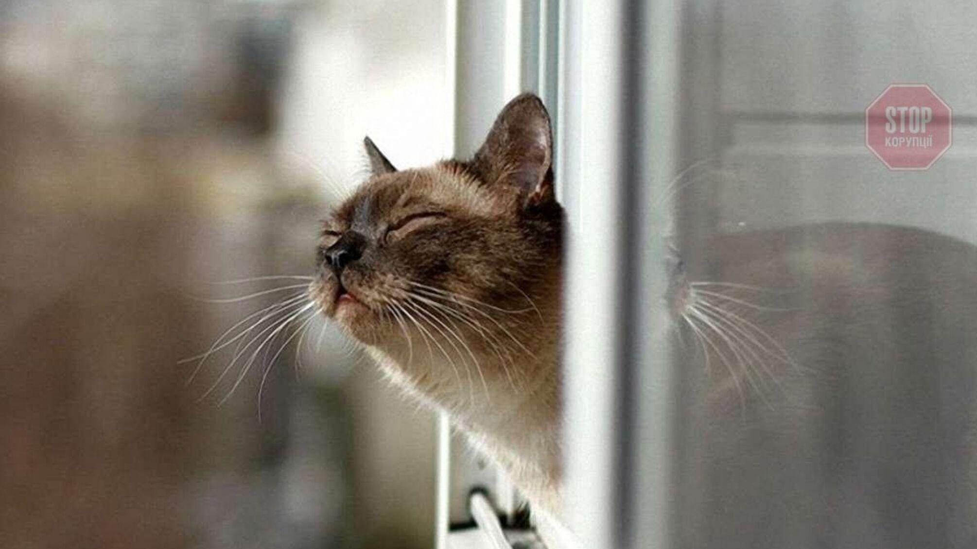 В Україну йде аномальна погода: прогноз синоптиків на найближчі дні