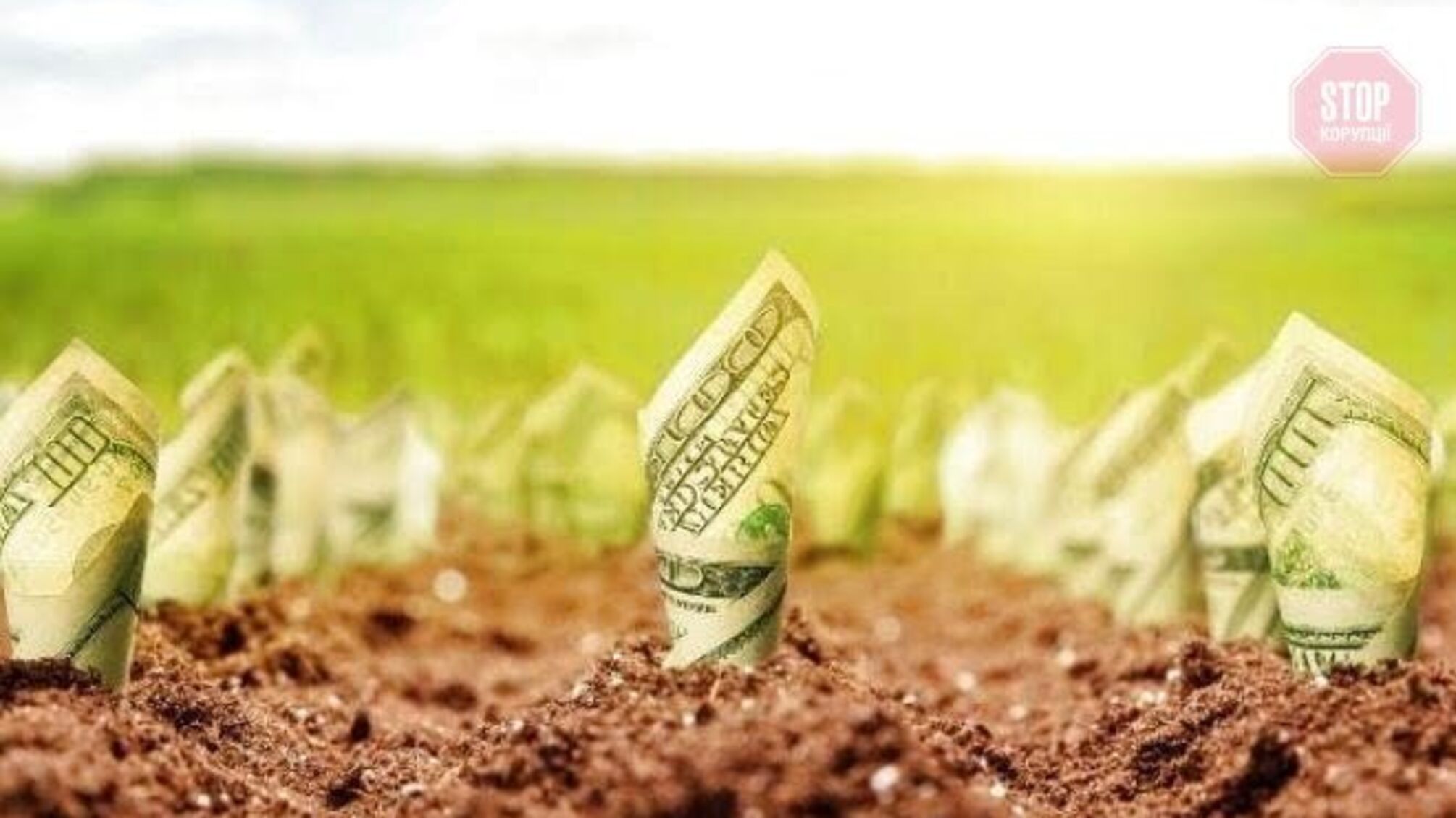 На Кривбасі агрохолдинг 'віджав' у селян півтори тисячі гектарів землі