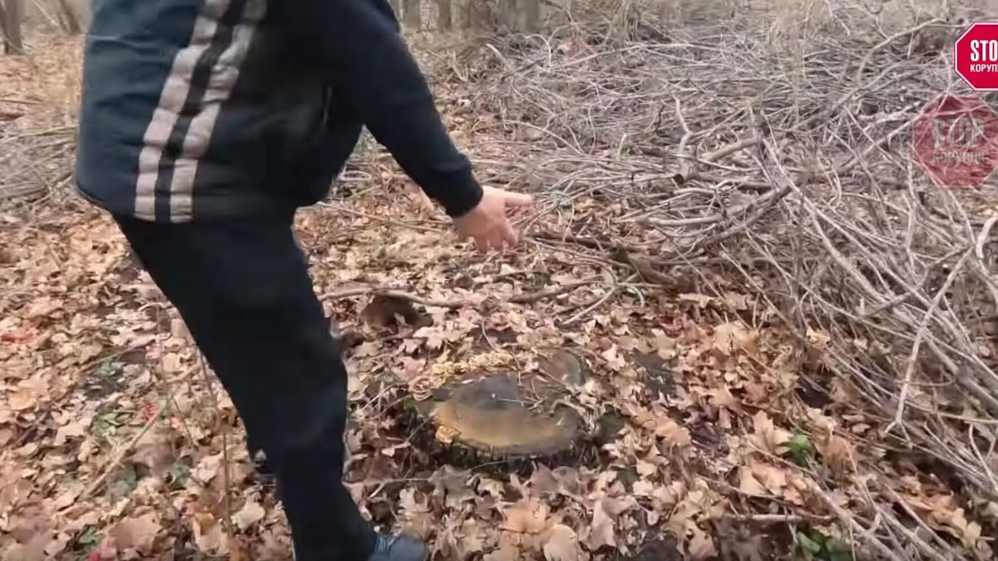 Працівників державного лісництва на Донеччині піймали на браконьєрстві