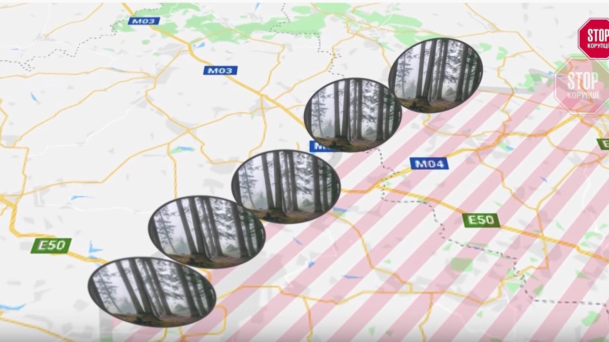 На прифронтовій території Донбасу орудують «чорні» лісоруби