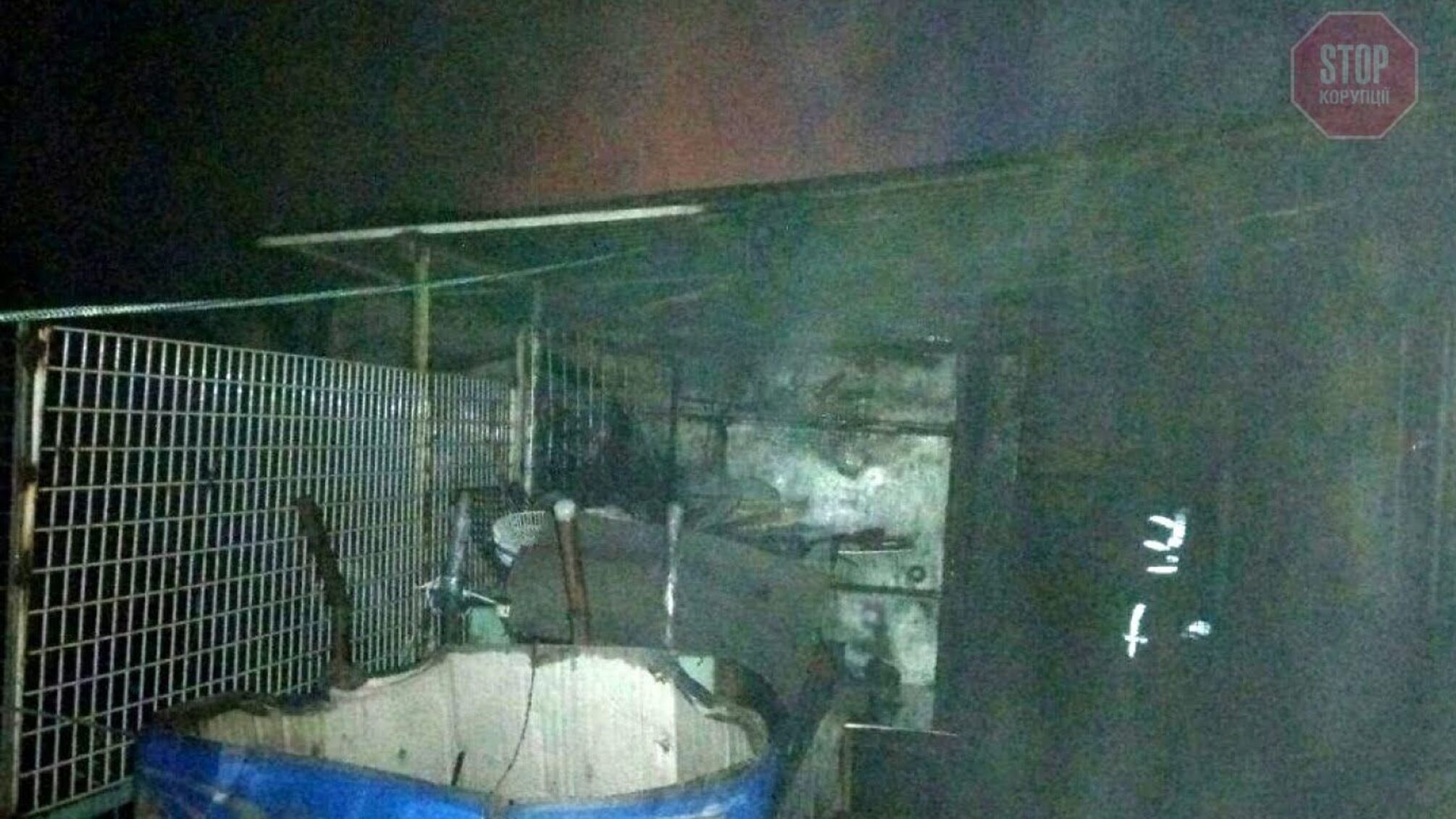 На Одещині згорів гараж з автівкою всередині