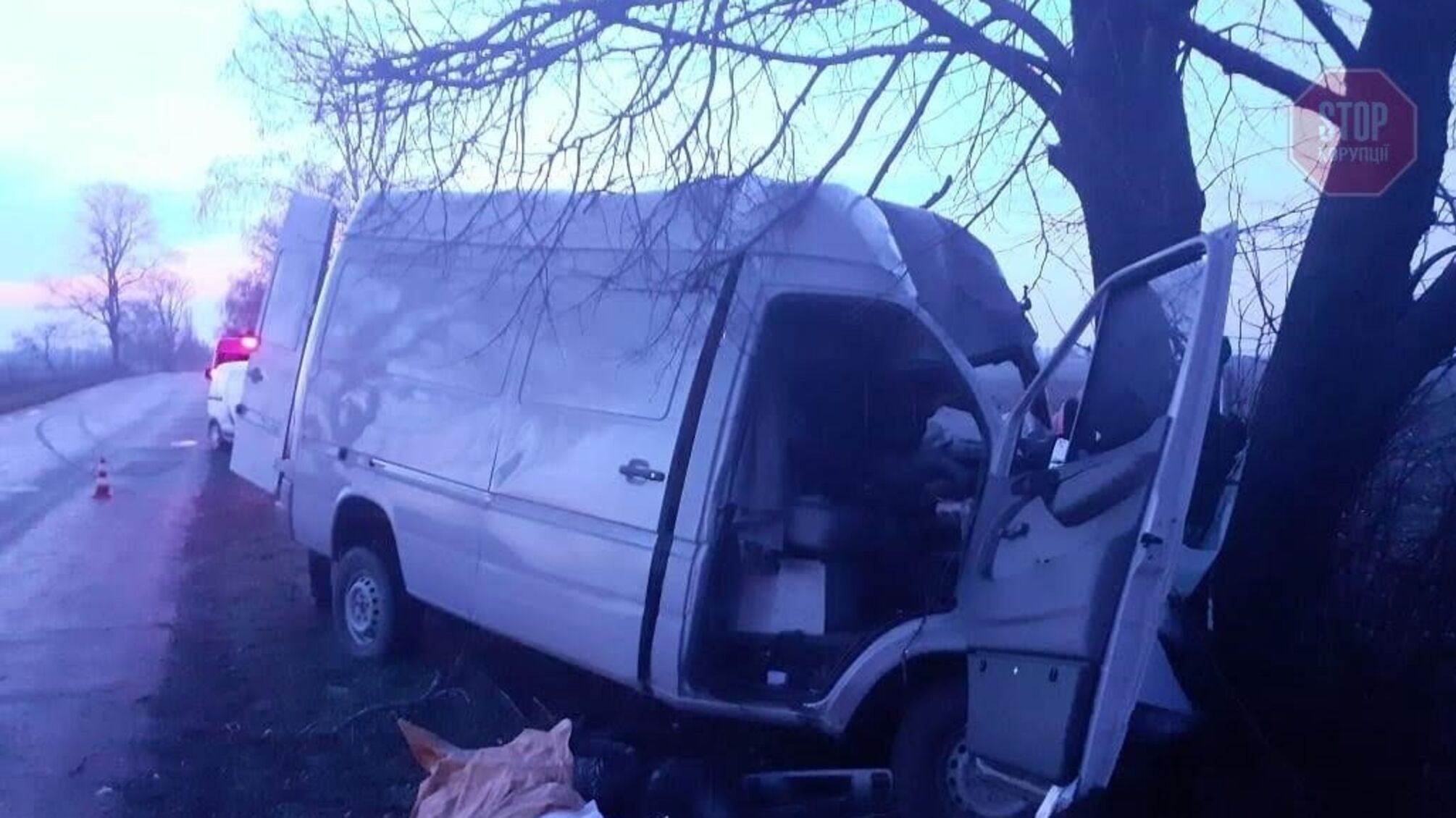 Водій 'Мерседеса' не впорався із керуванням і в'їхав у дерево, двоє людей загинуло (фото)
