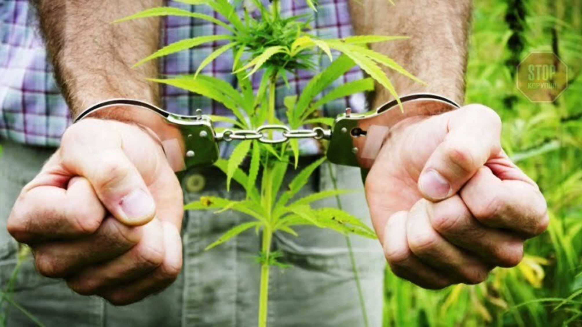 4 мільйона гривен конфіскувала ГПУ у наркоділка