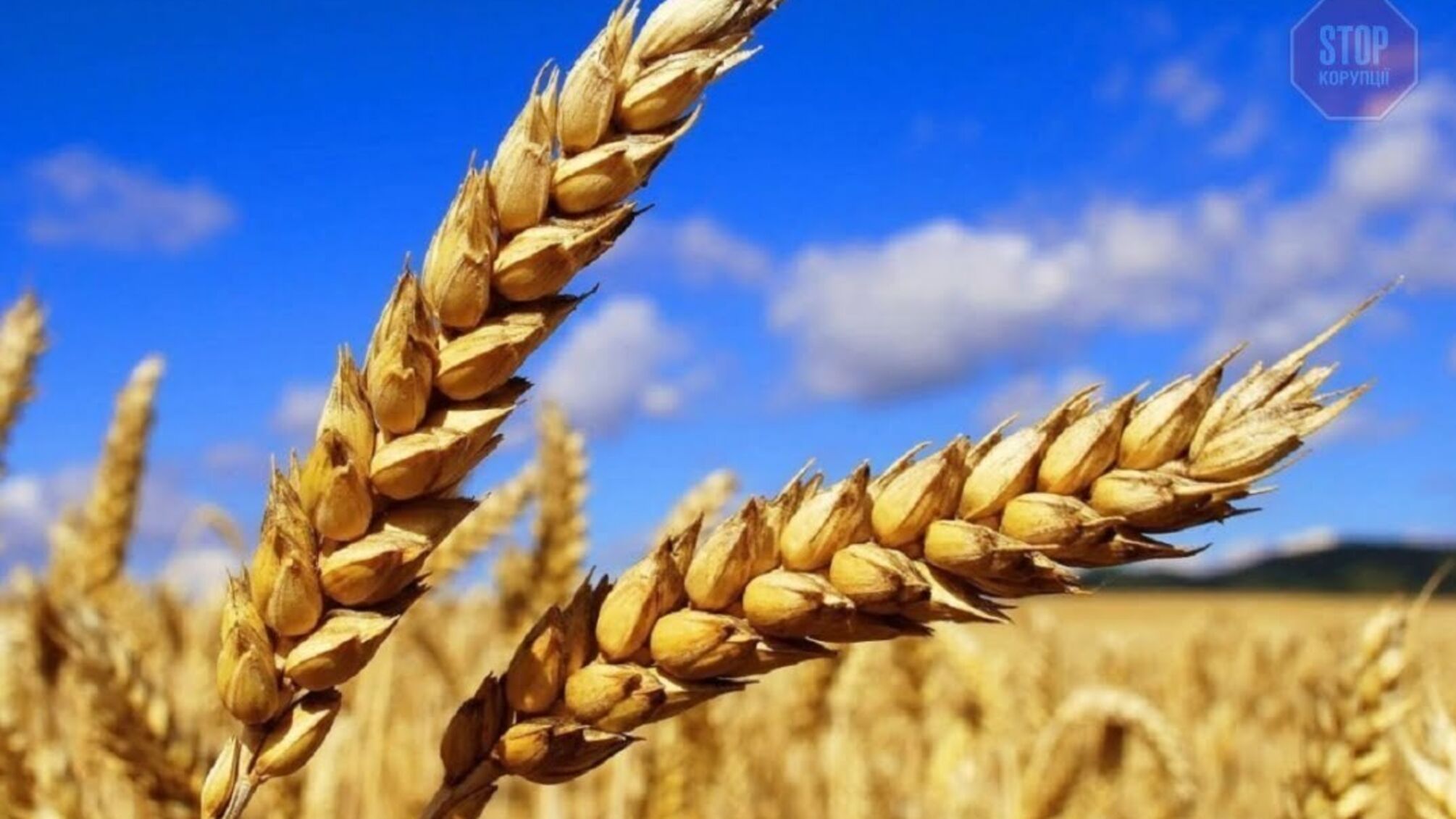 Україна збільшила експорт зерна