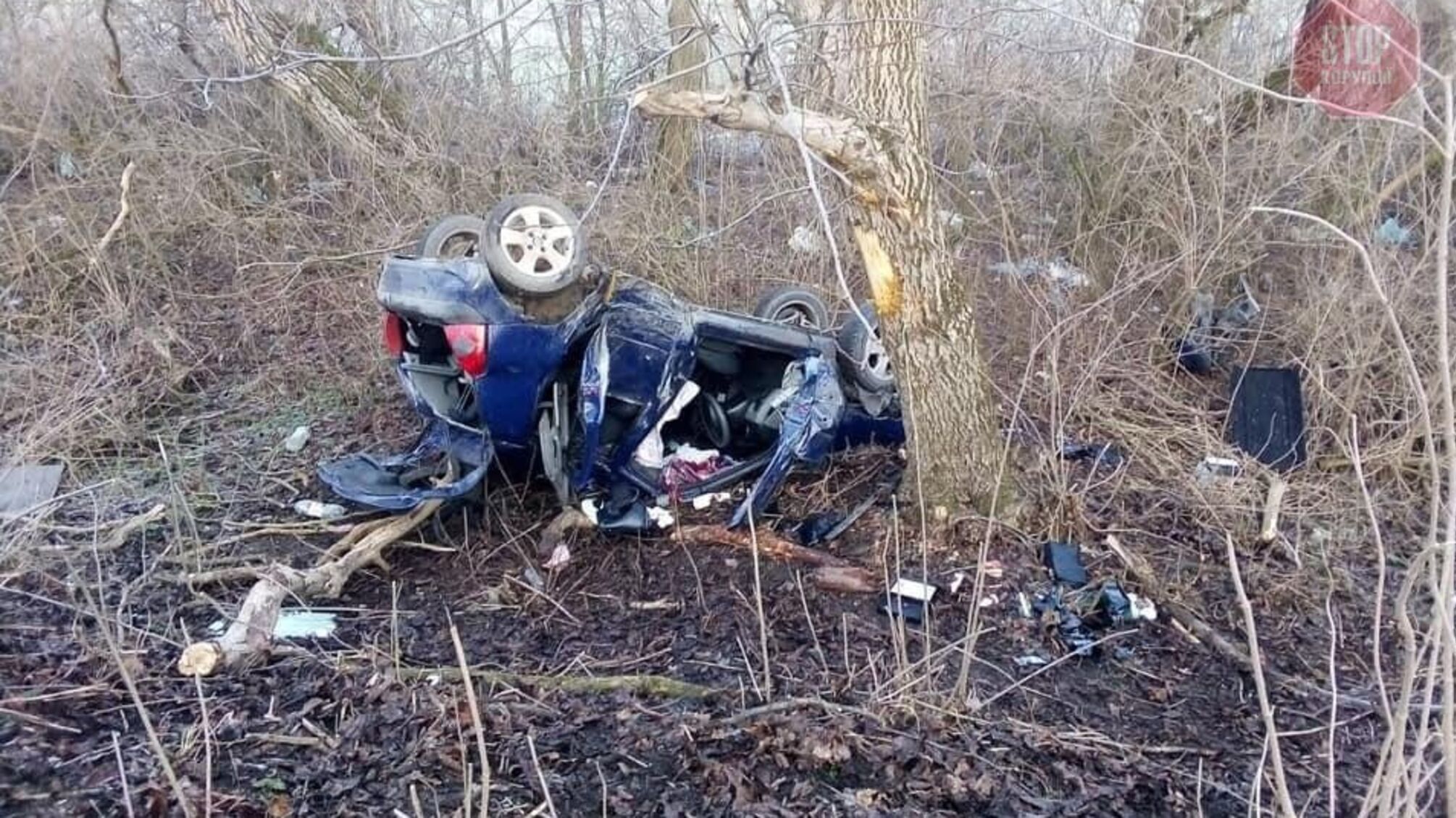 Дві жінки загинули під час ДТП на Прикарпатті: перекинувся легковик (фото)