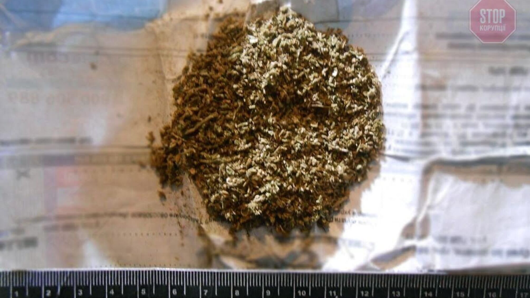 На Сумщині поліцейська собака знайшла наркотика на 300 тисяч гривень (фото)
