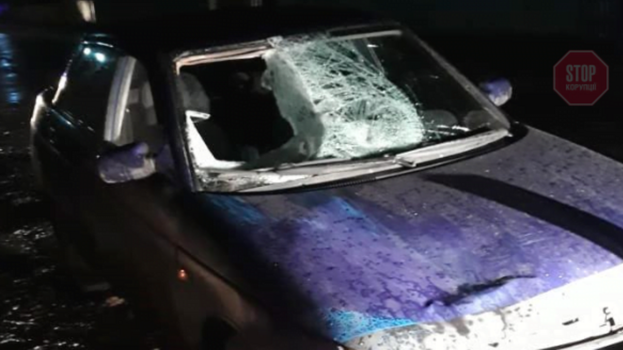 На Черкащині п'яний водій скоїв наїзд на двох малолітніх дітей: одна дитина загинула (фото)