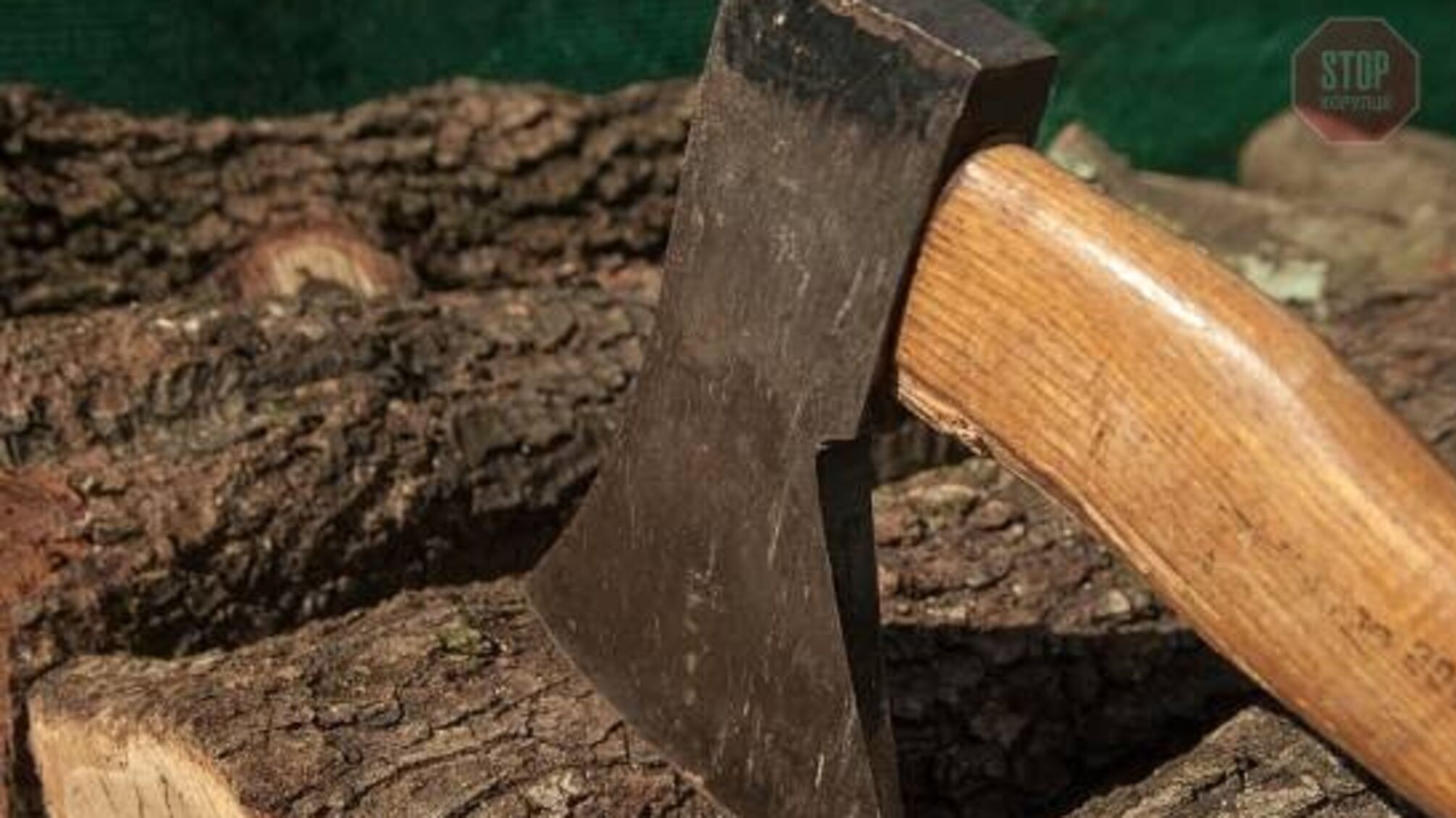 На Волині затримали дубокрадів, які давали хабар і погрожували сокирою