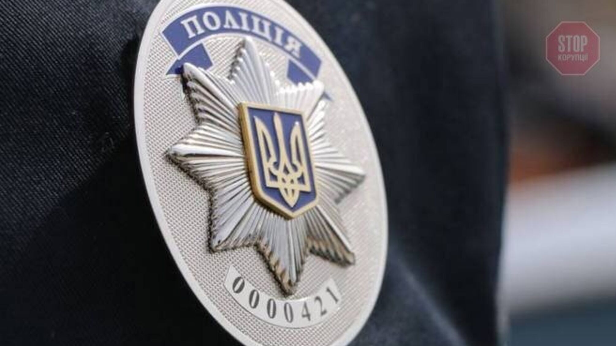 Переплутав поліцейського з кривдником: на Івано-Франківщині затримали чоловіка