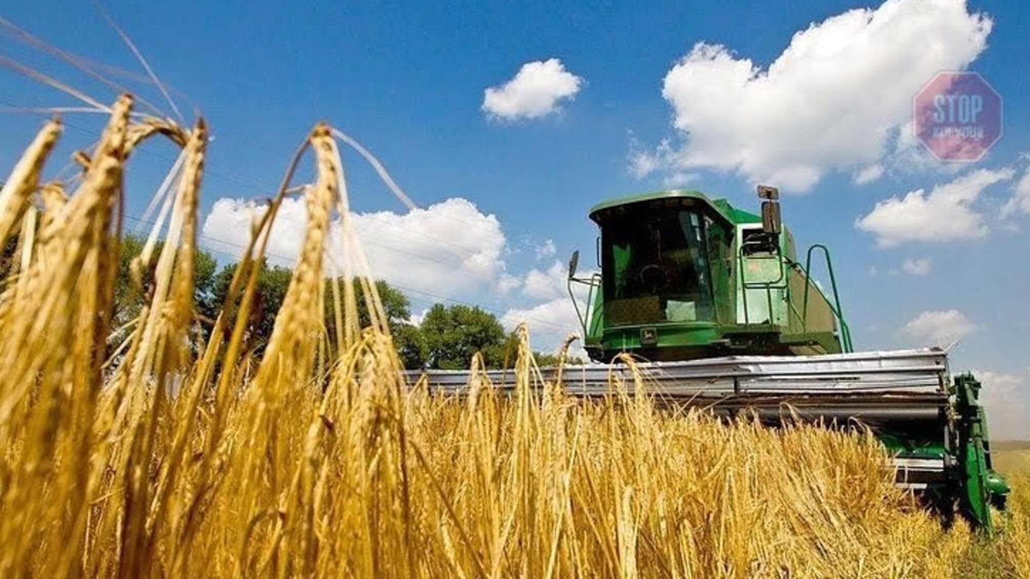 Врожай 2020 під загрозою