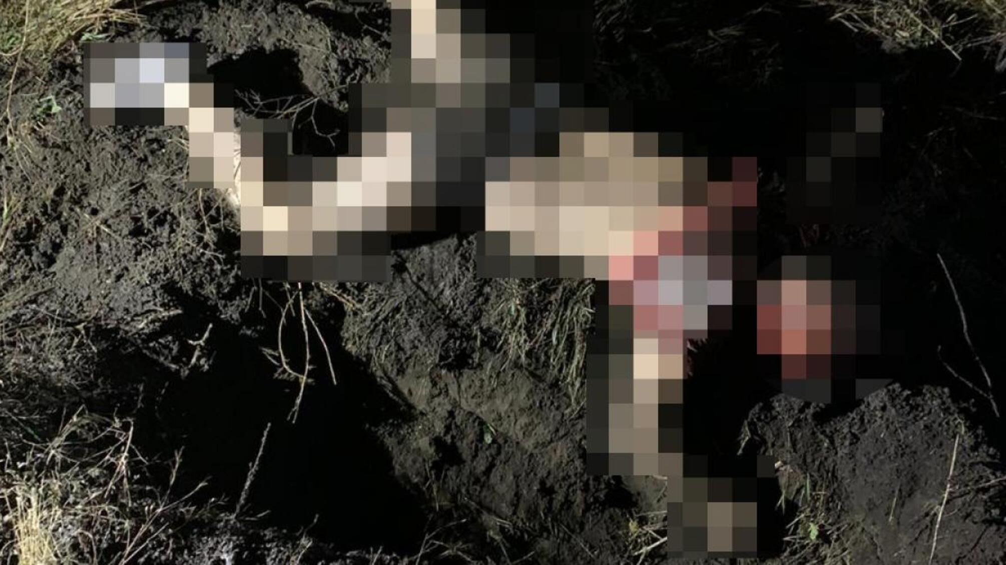 Умисне вбивство на Сумщині - слідчі ДБР затримали нацгвардійця (ВІДЕО)