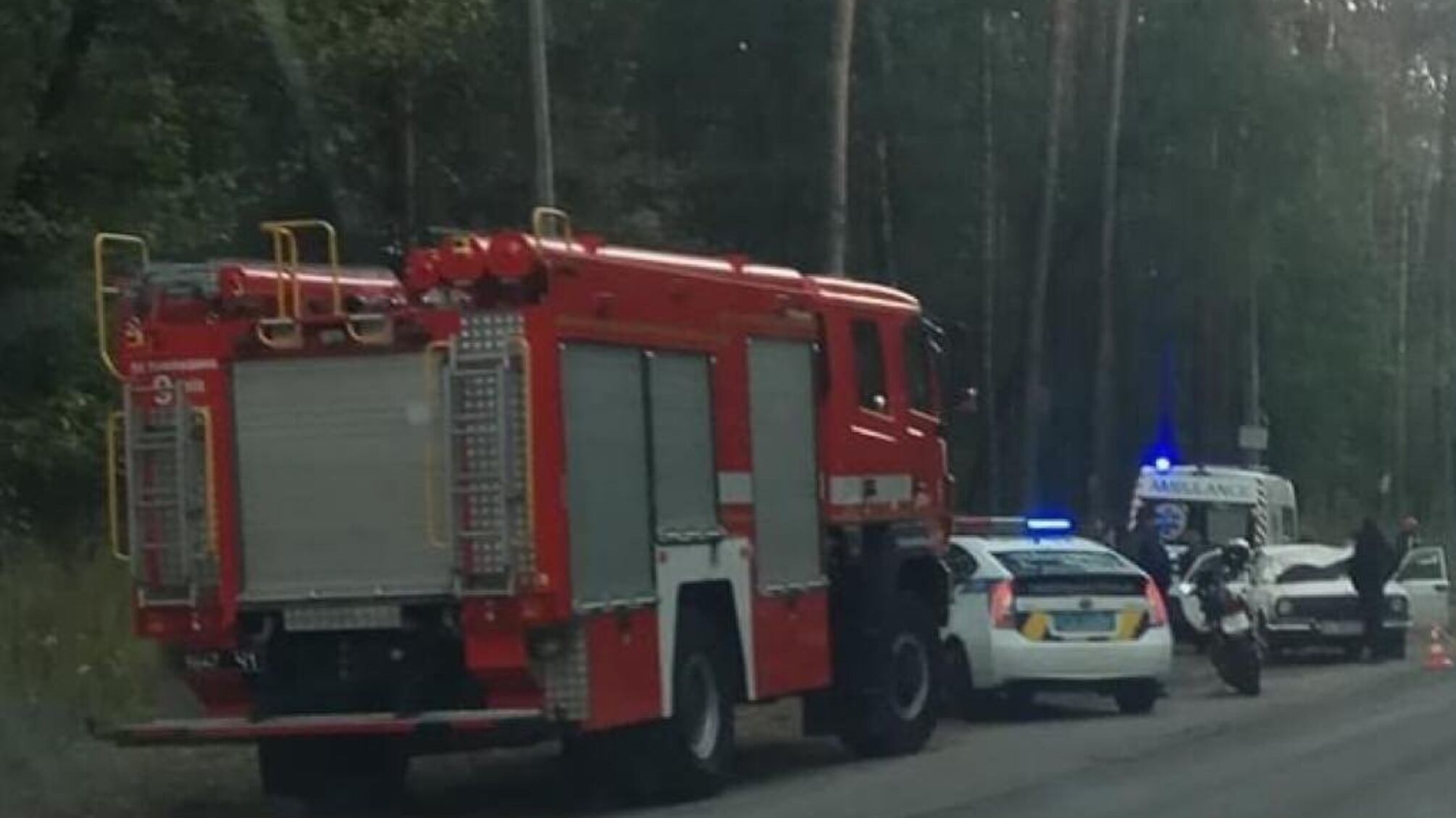 У столиці на два автомобілі впало дерево: є постраждалі (фото)