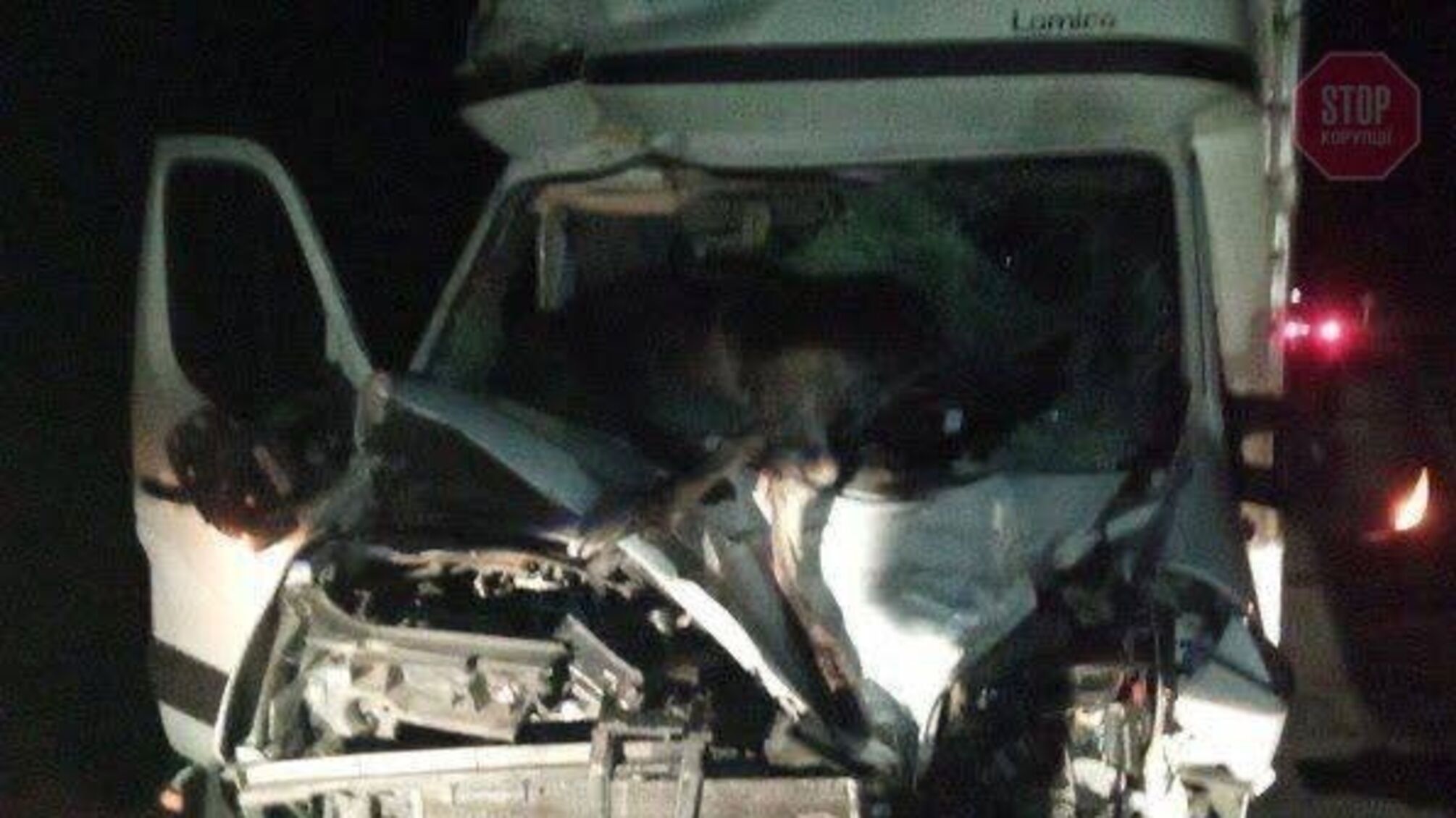 У Київській області лось вбив чоловіка