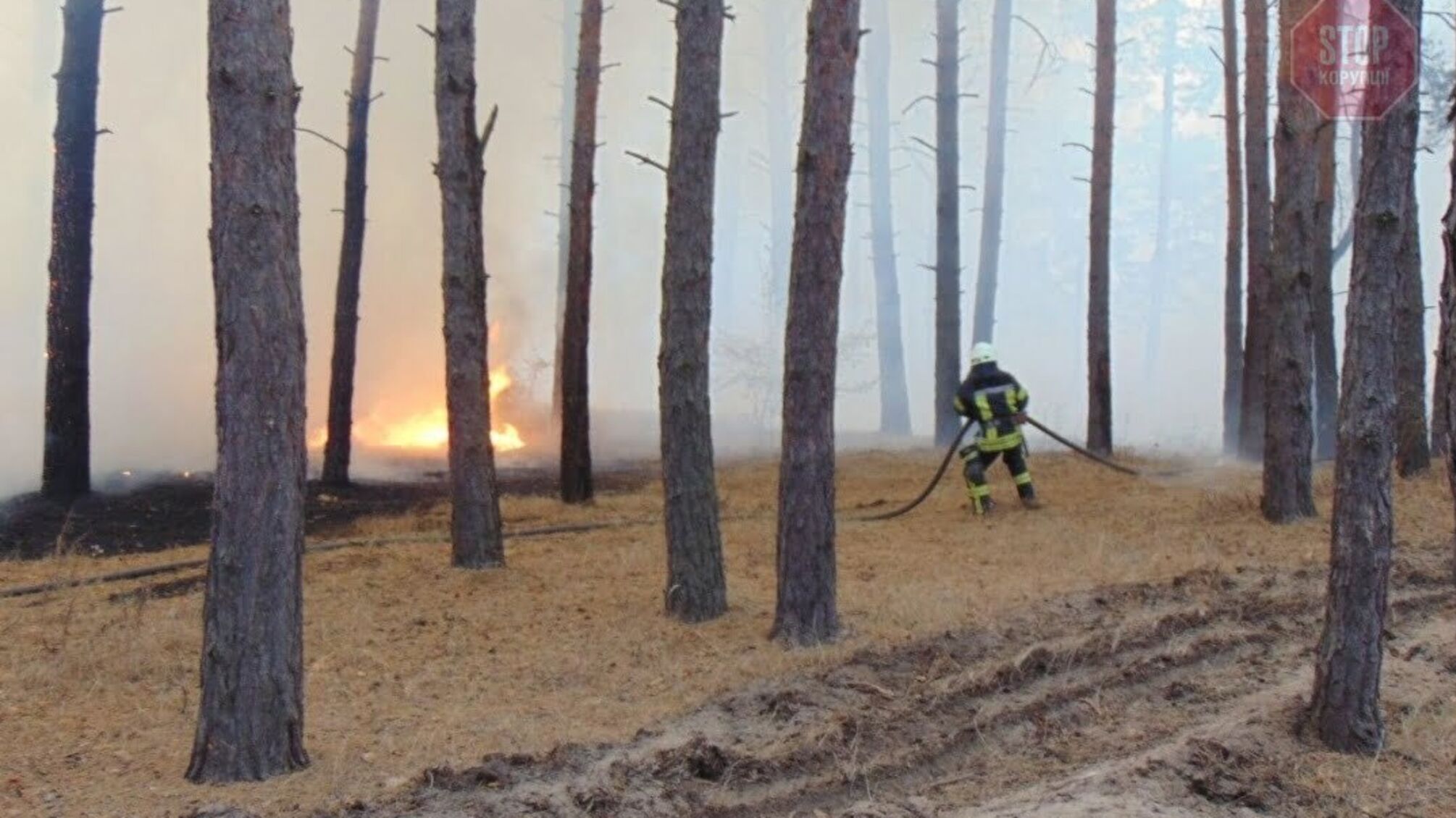 Масштабна пожежа на Луганщині триває, є жертви