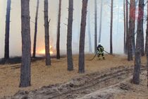У Луганській області локалізували майже всі осередки пожежі