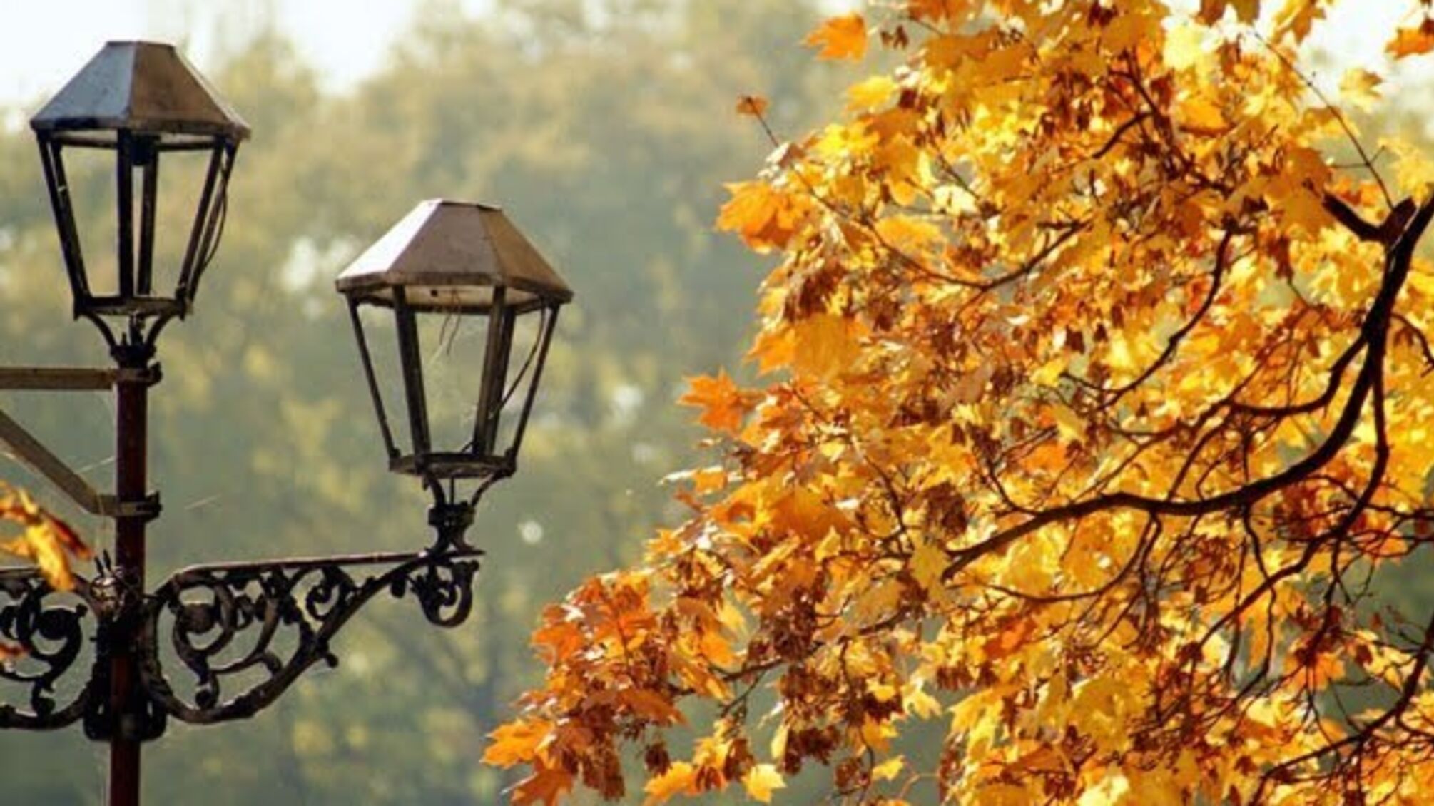 20 жовтня: народний календар і астровісник