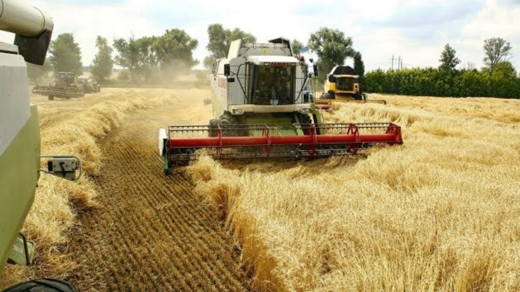 Зменшення врожаю зерна на 10 мільйонів тонн не буде катастрофою для України - експерт