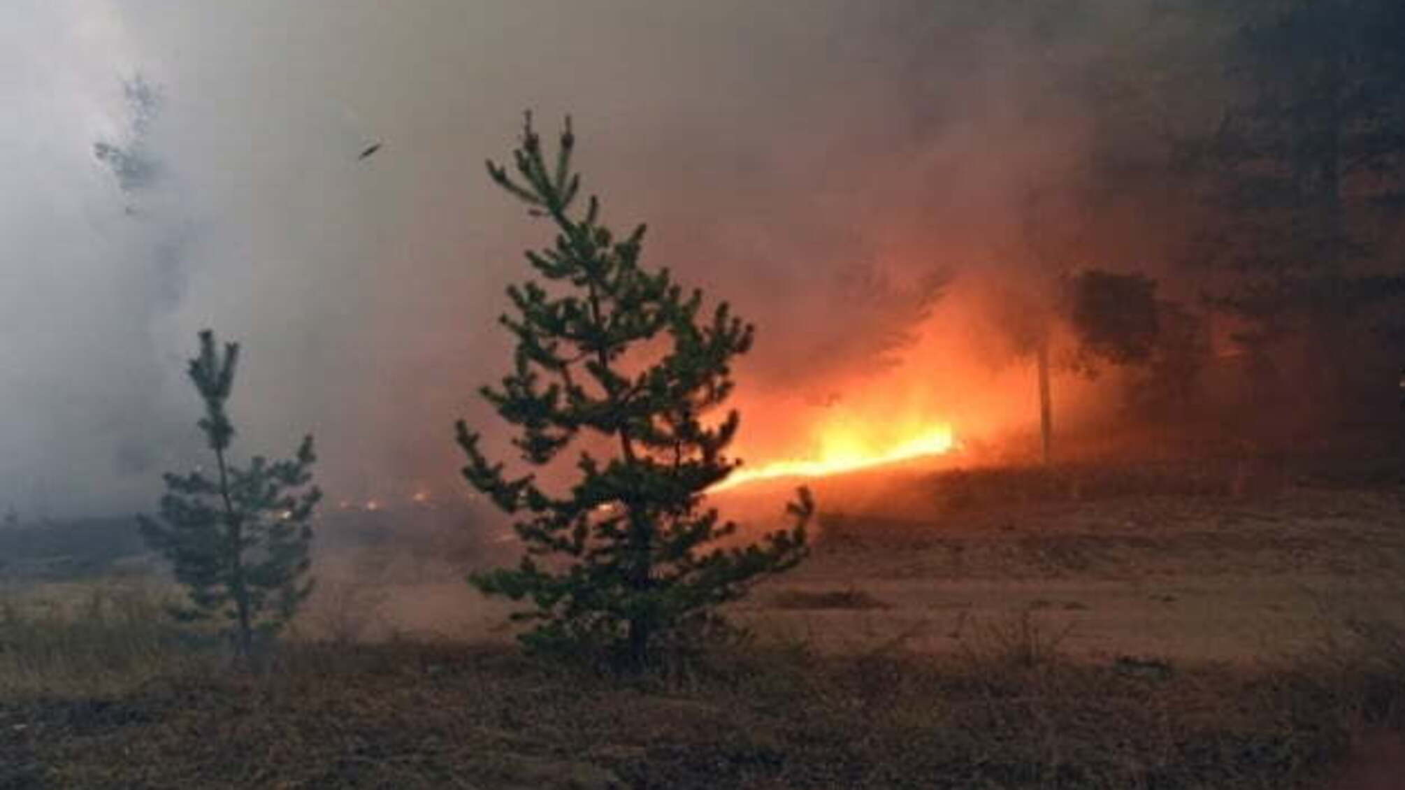Від початку гасіння пожеж на Луганщині авіація скинула 1,6 тисячі тон води