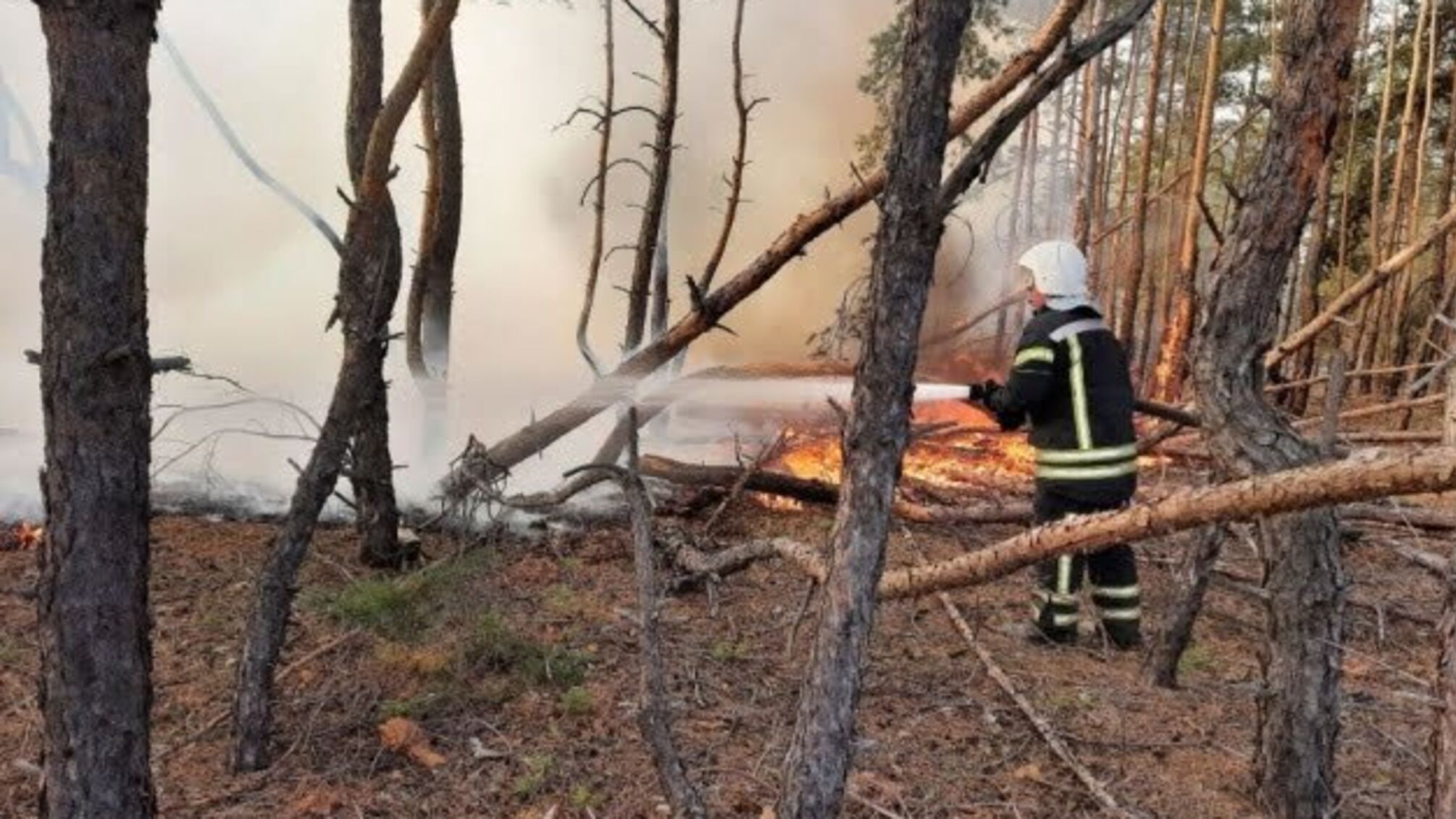 На Луганщині ліквідували 7 з 10 осередків пожеж - ДСНС