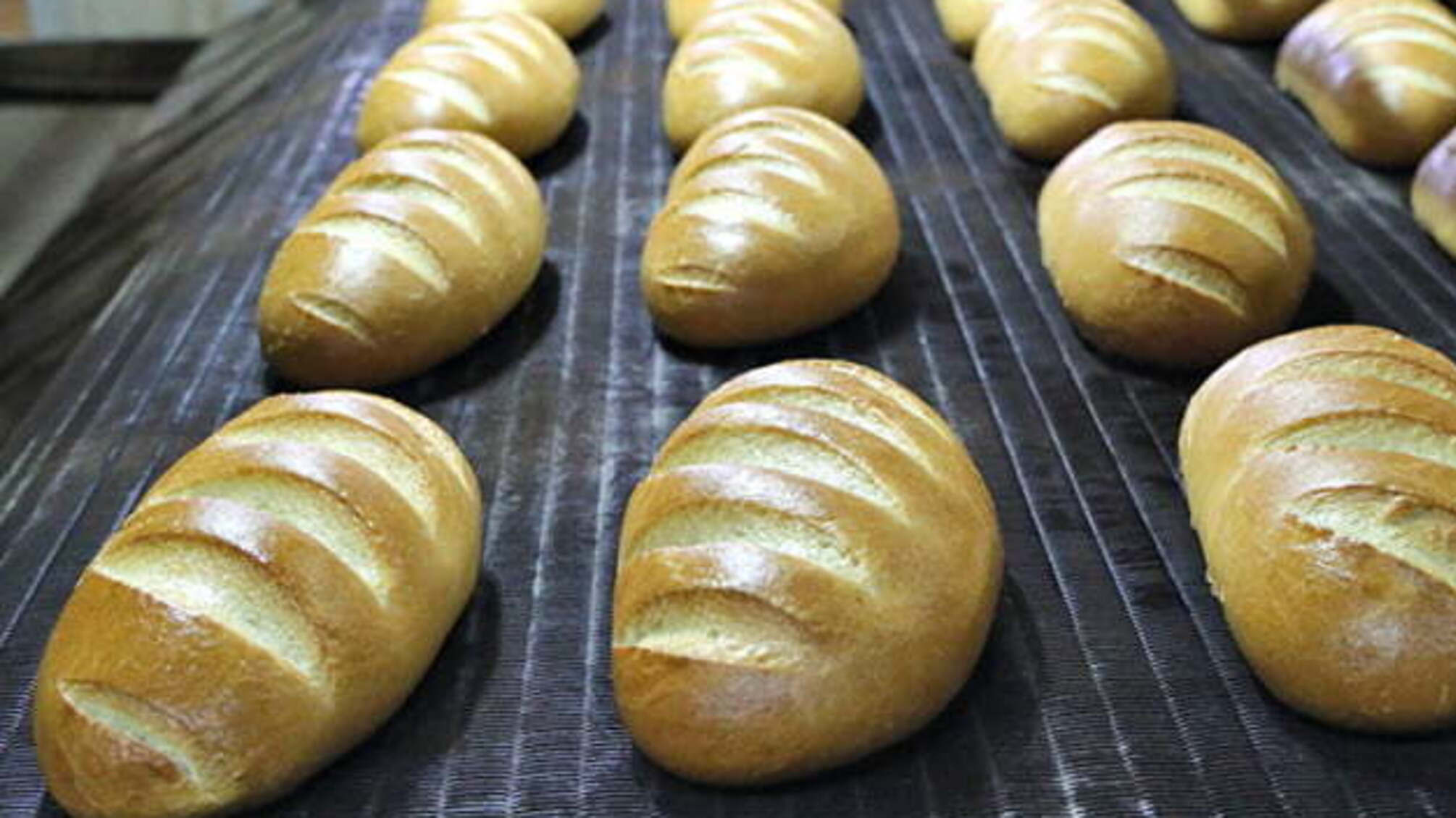 Кампанія у ЗМІ щодо подорожчання хліба насправді призведе до цього – Інститут агроекономіки