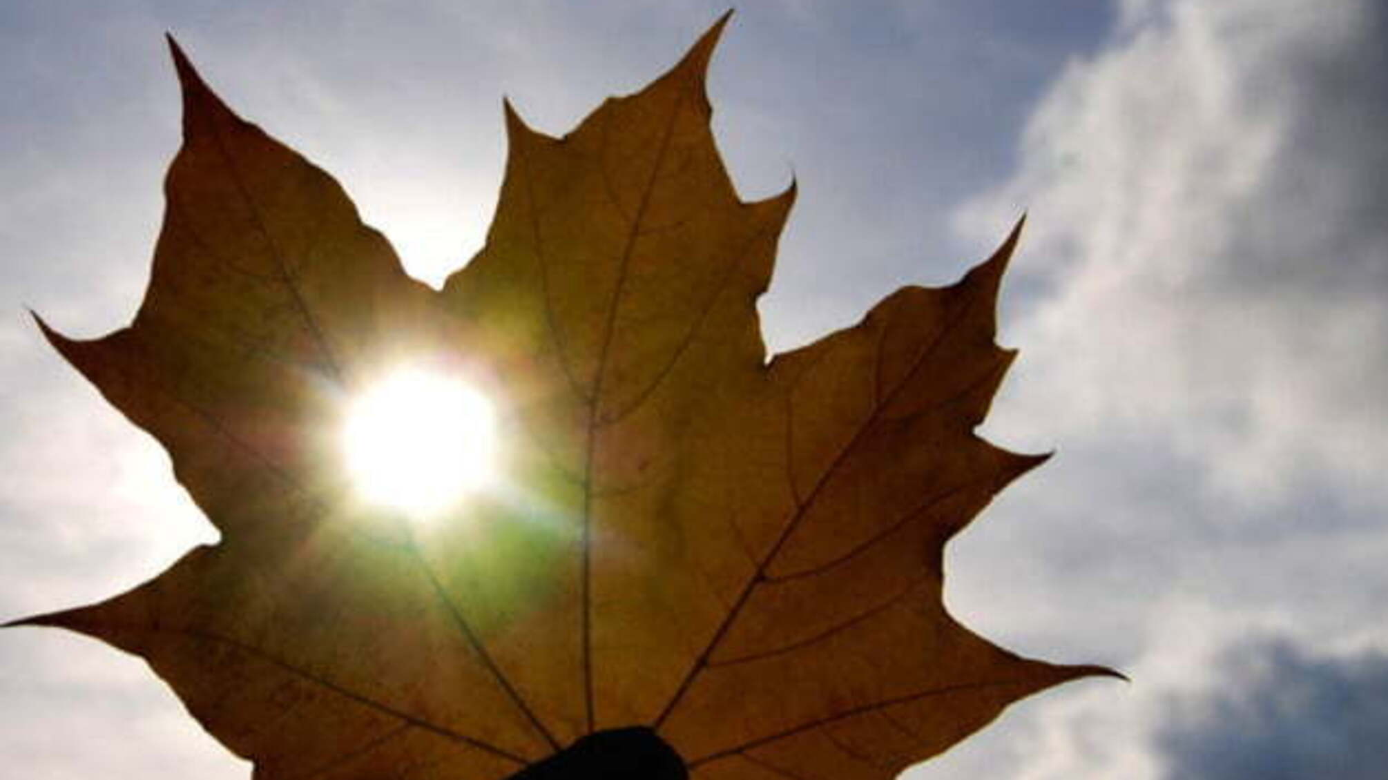 18 жовтня: народний календар і астровісник