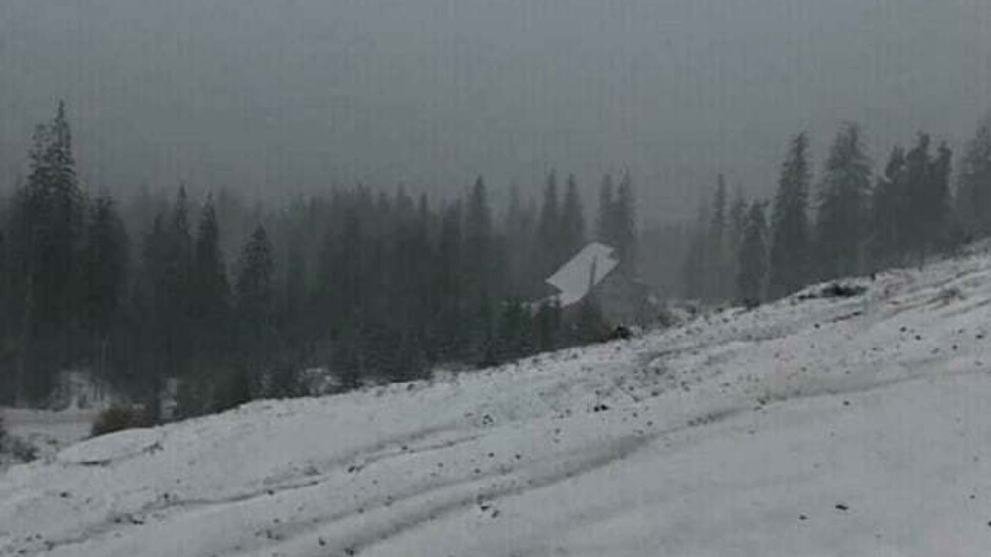 У Карпатах випав сніг