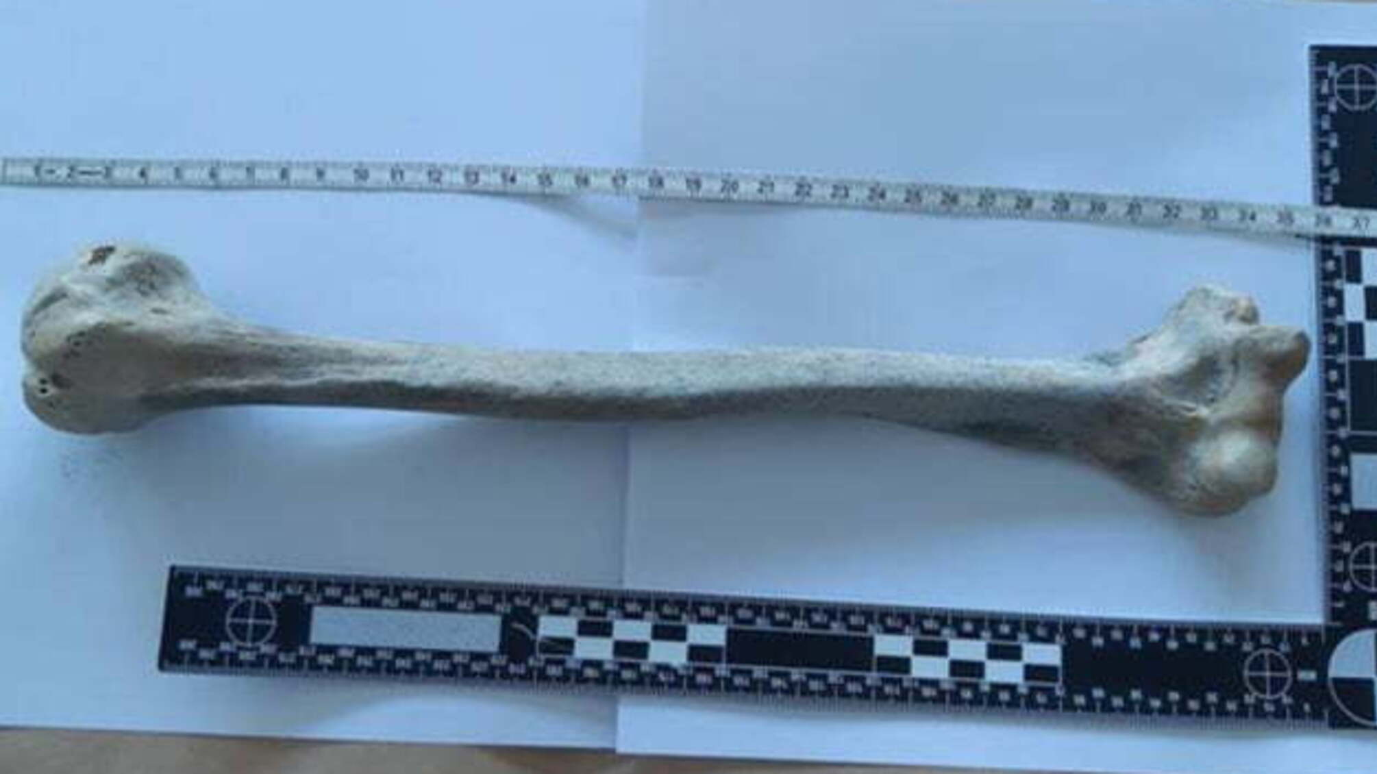 У Нідерландах на пляжі знайшли людські рештки, яким близько 1750 років