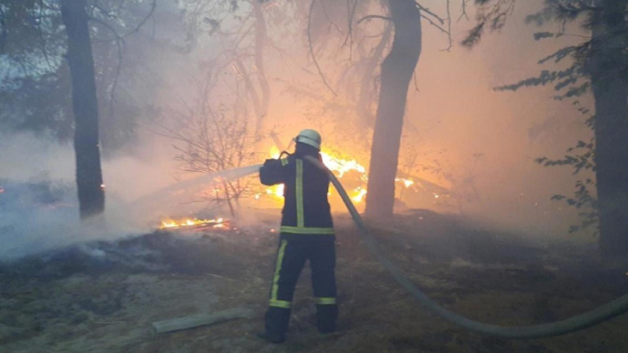 Пожежі на території Луганської області – ДБР розслідує дії посадовців ДСНС