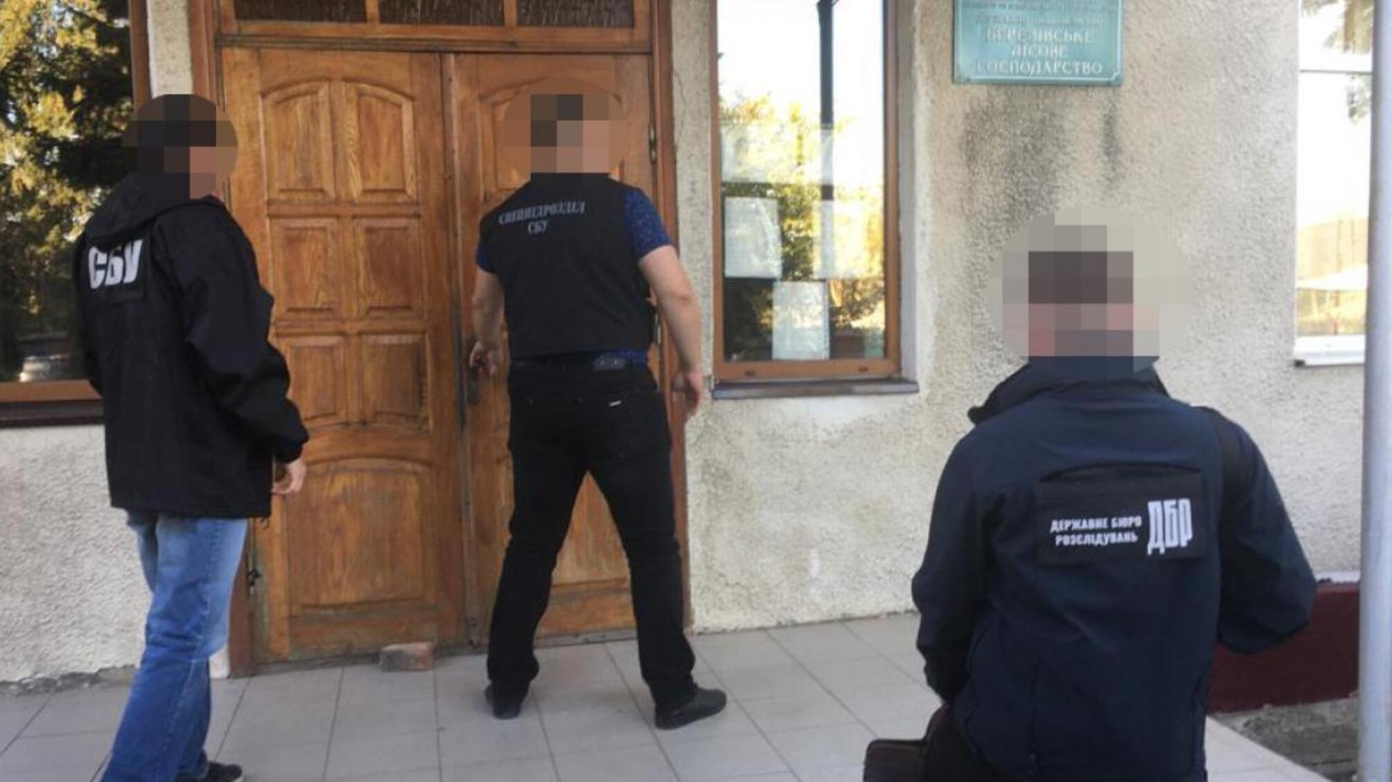 Систематичне одержання неправомірної вигоди – ДБР викрило двох посадовців ДП «Березівське лісове господарство»