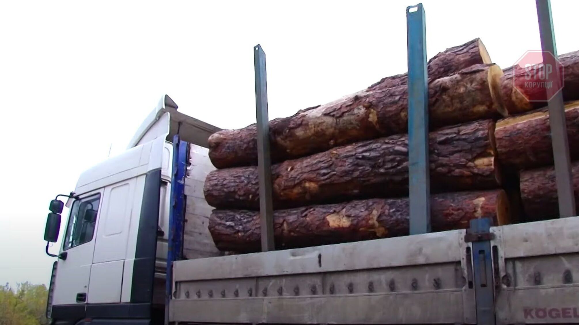 Аукціон небаченої щедрості: на Харківщині 5 тисяч кубометрів деревини розпродали за заниженою ціною