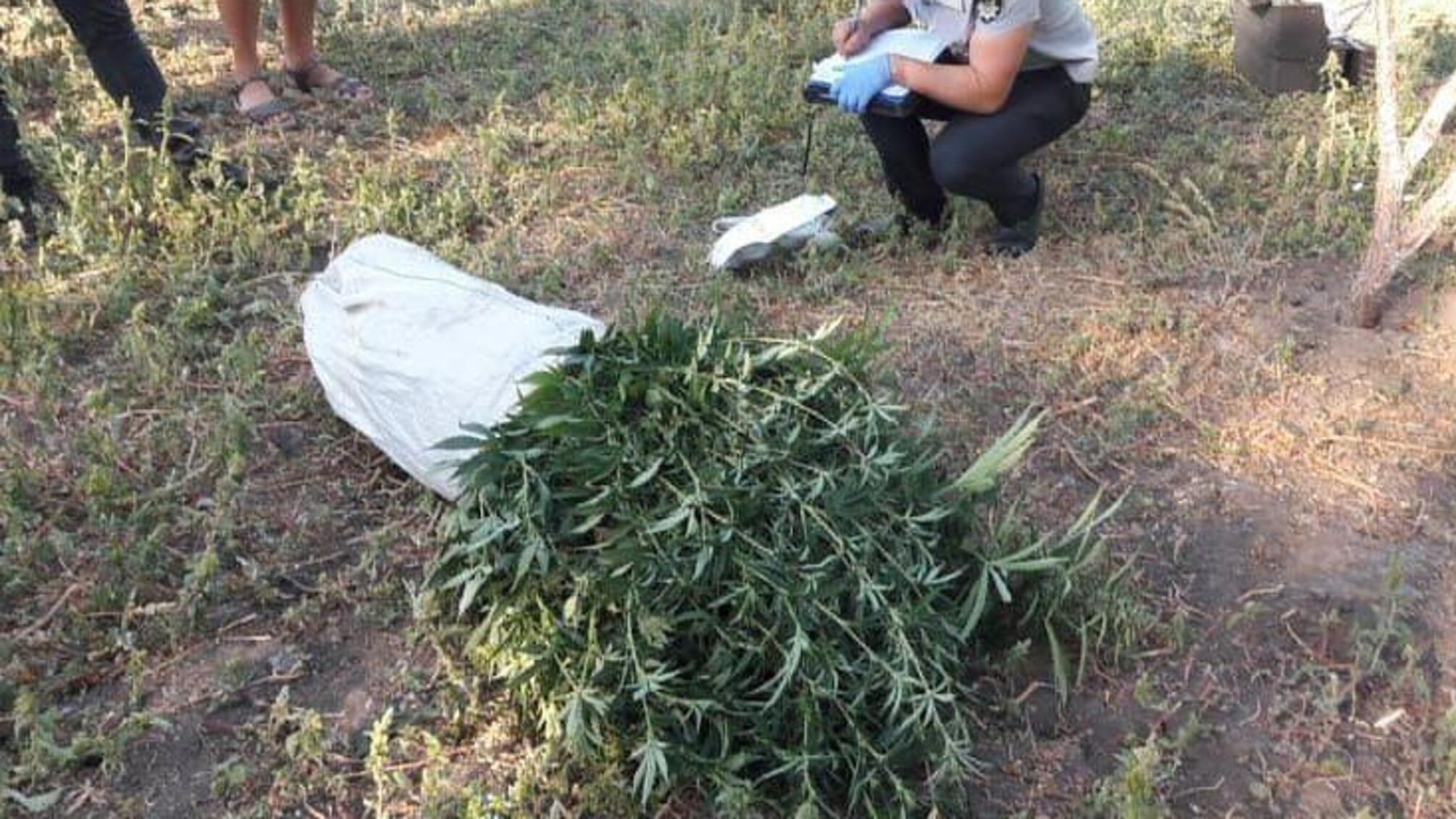 Савранські поліцейські викрили місцевого жителя у зберіганні наркотиків