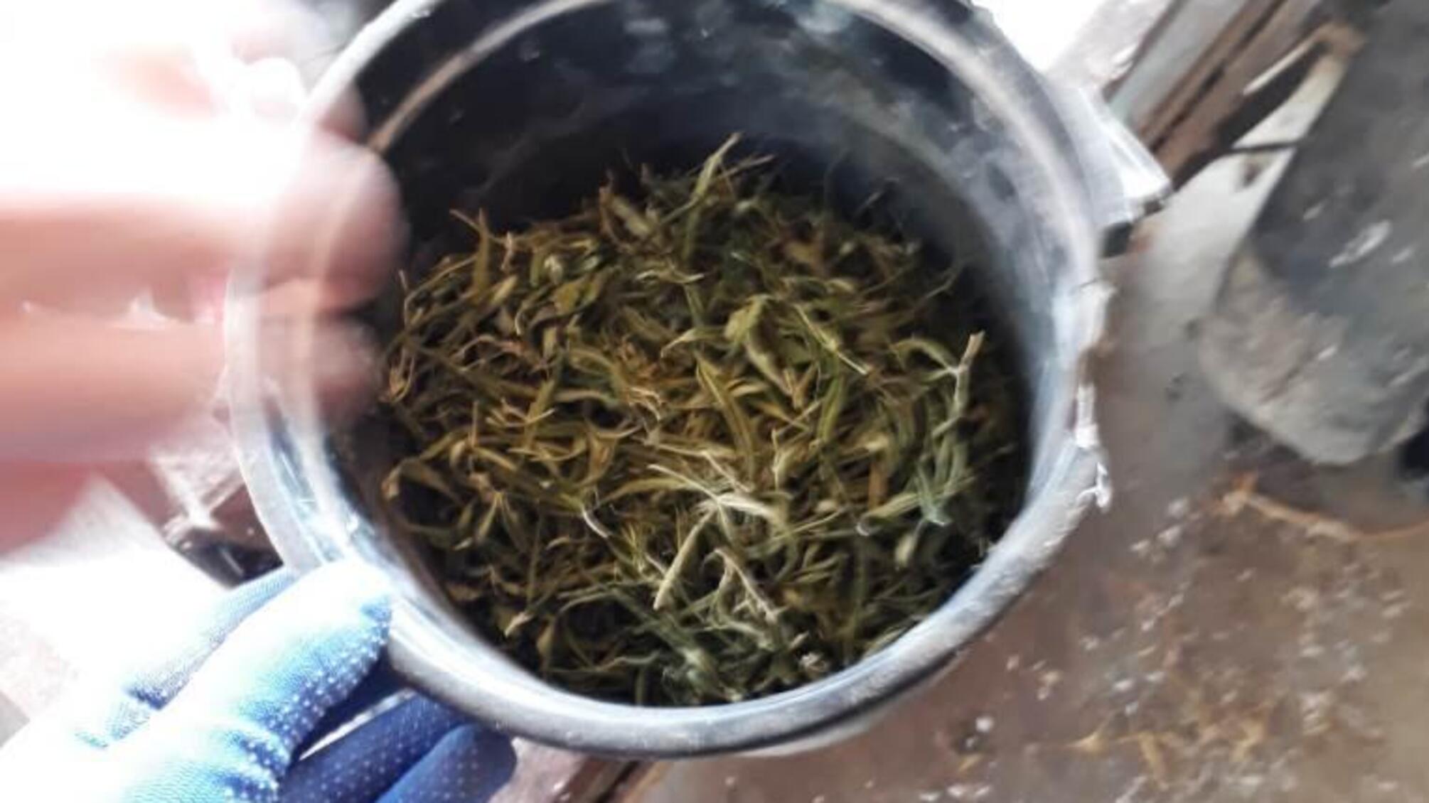 Білгород-дністровські правоохоронці викрили жителя району у зберіганні наркотиків