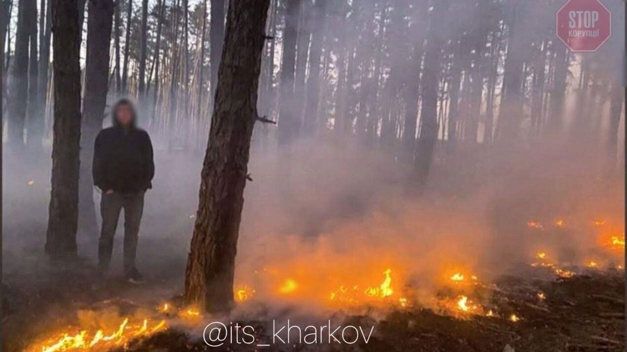 На Харківщині спалахнула масштабна пожежа (фото, відео)