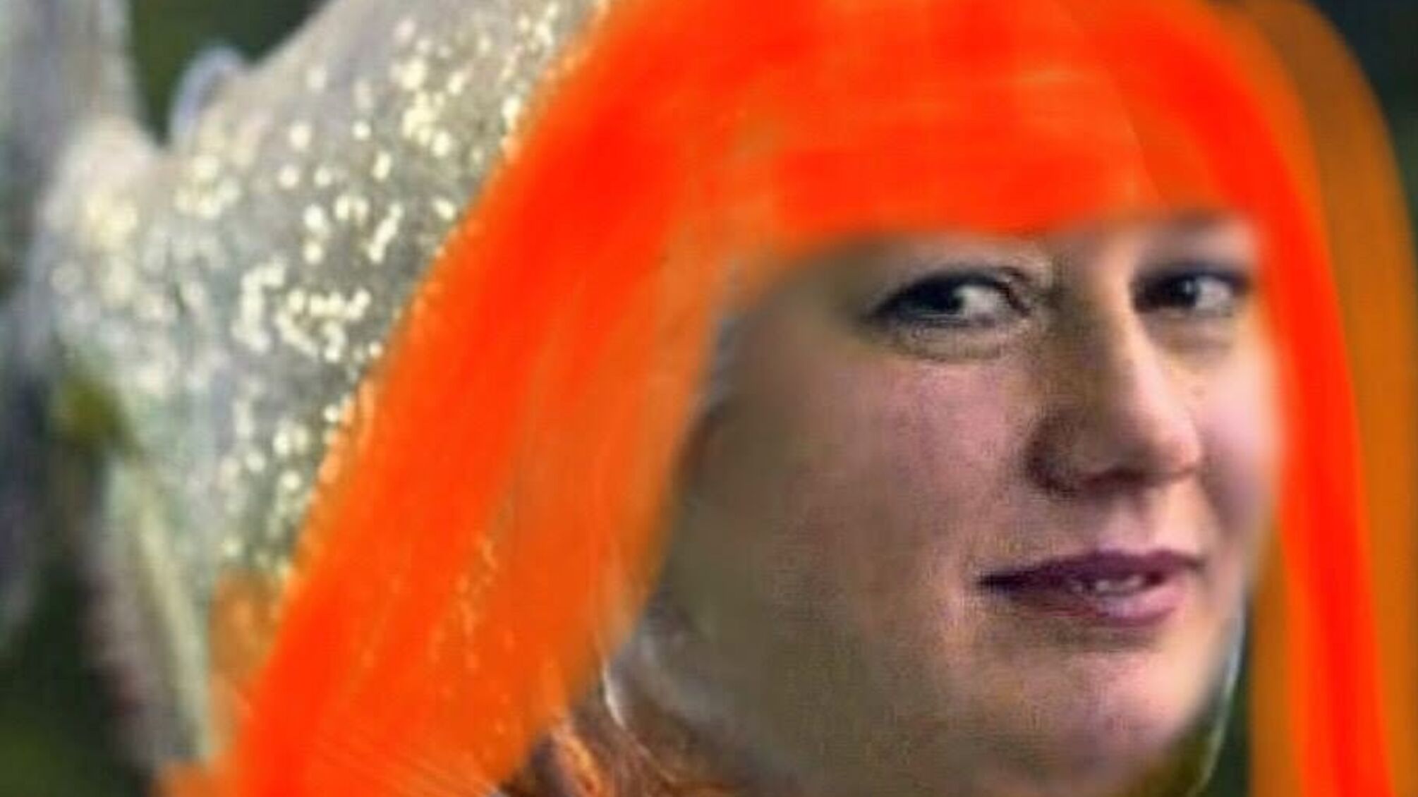 Протеже Кудрявцева Христенко переводять з ДАБІ у Держрибагенство