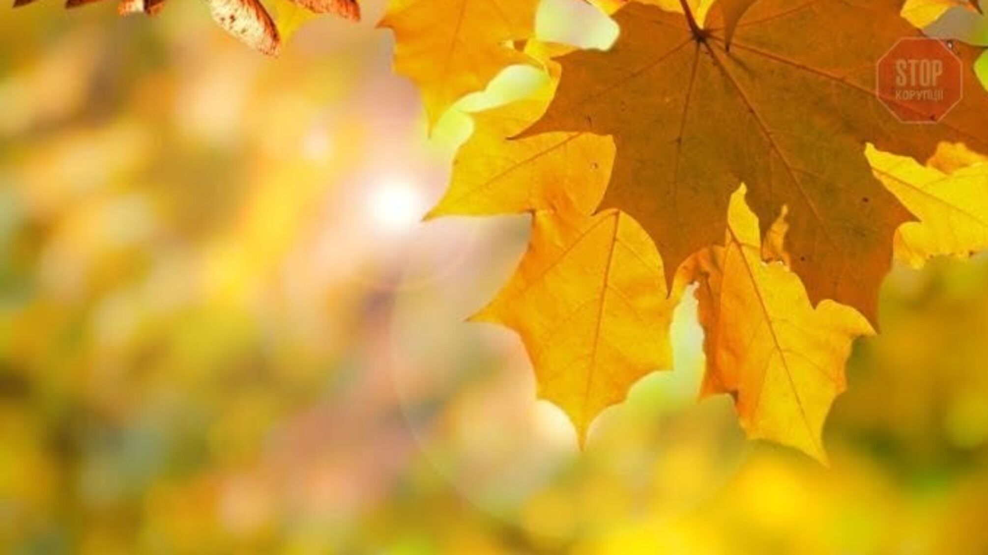 Завтра в Україні прогнозують теплу погоду