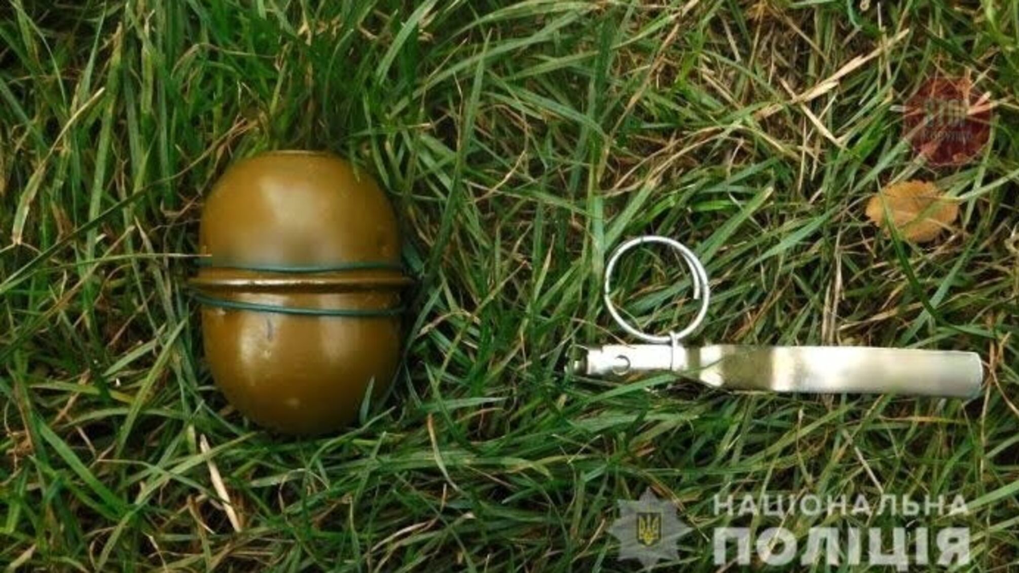 У Полтаві біля газового щитка виявили гранату (фото)