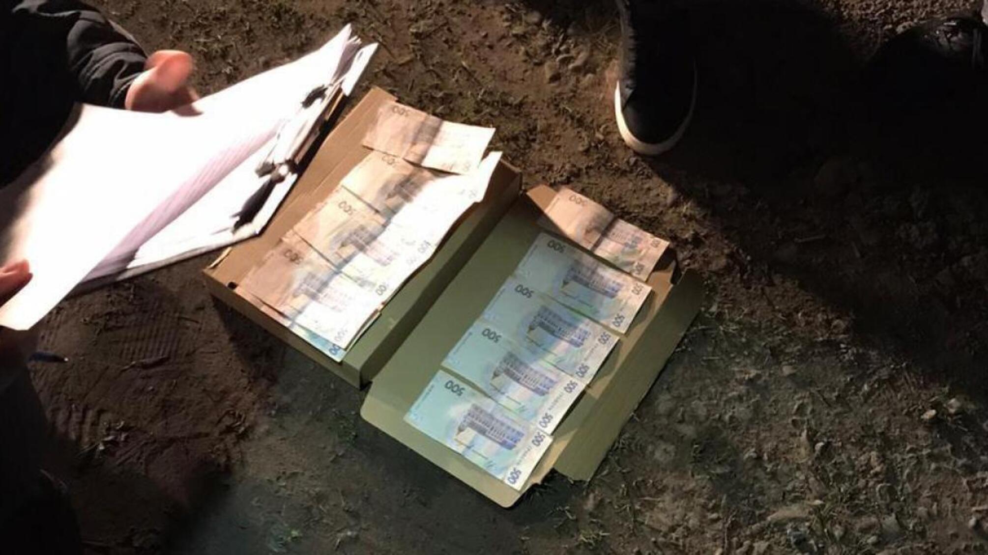 32 000 гривень за збут деревини без дозвільних документів – ДБР затримало посадовця лісгоспу на Львівщині