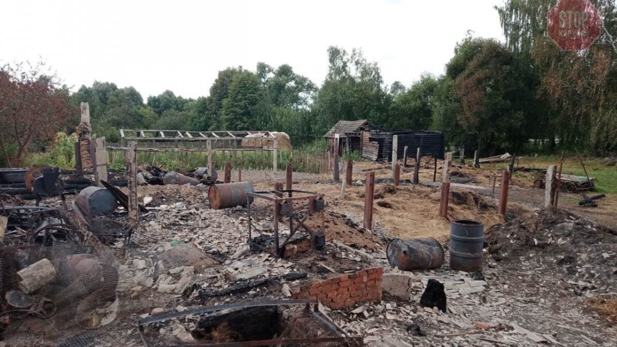 На Чернігівщині сусідка з психічним розладом спалила вщент будинок цілої родини