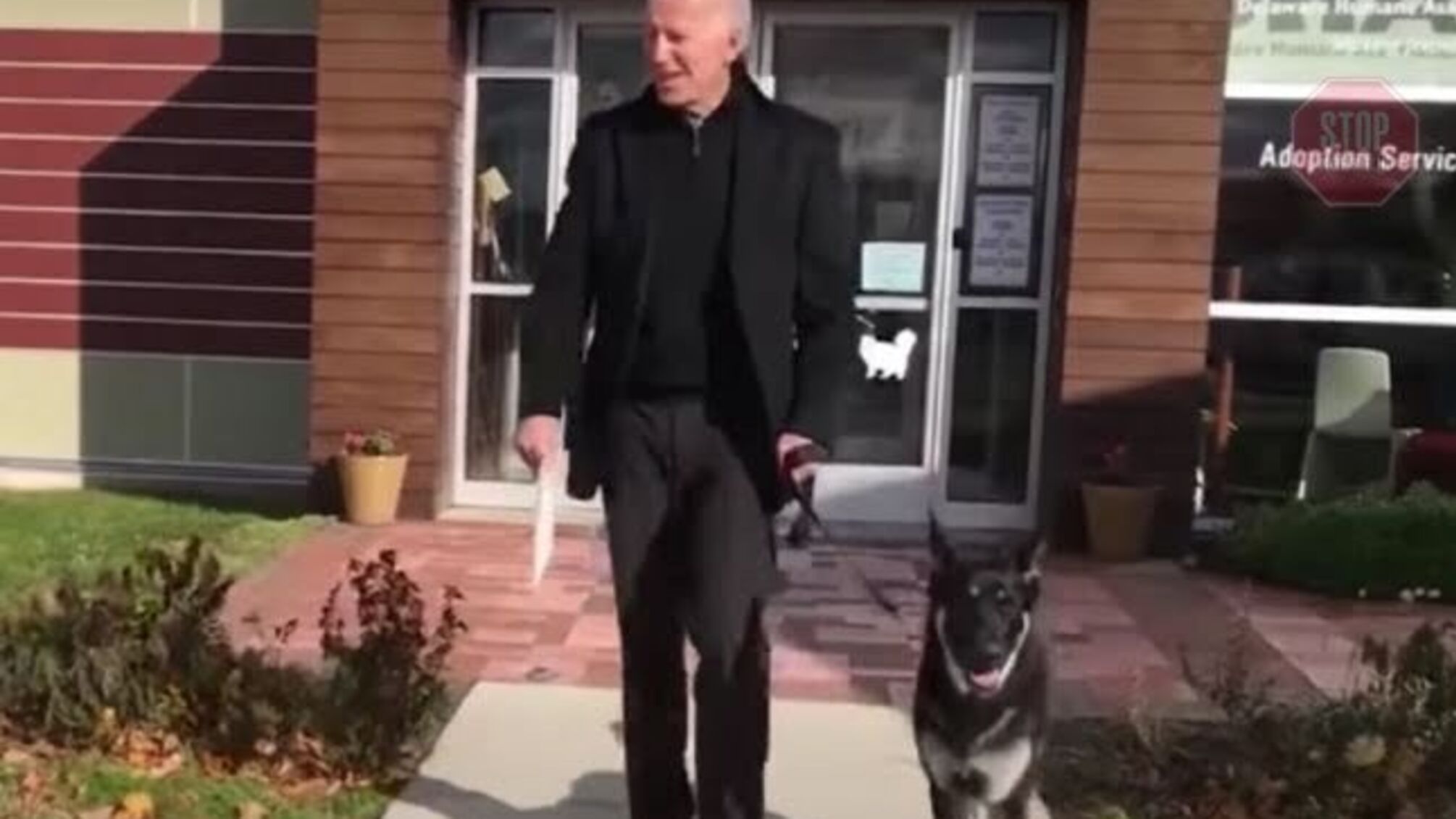 Байден травмувався під час гри з собакою: діагностували дві тріщини в кістках