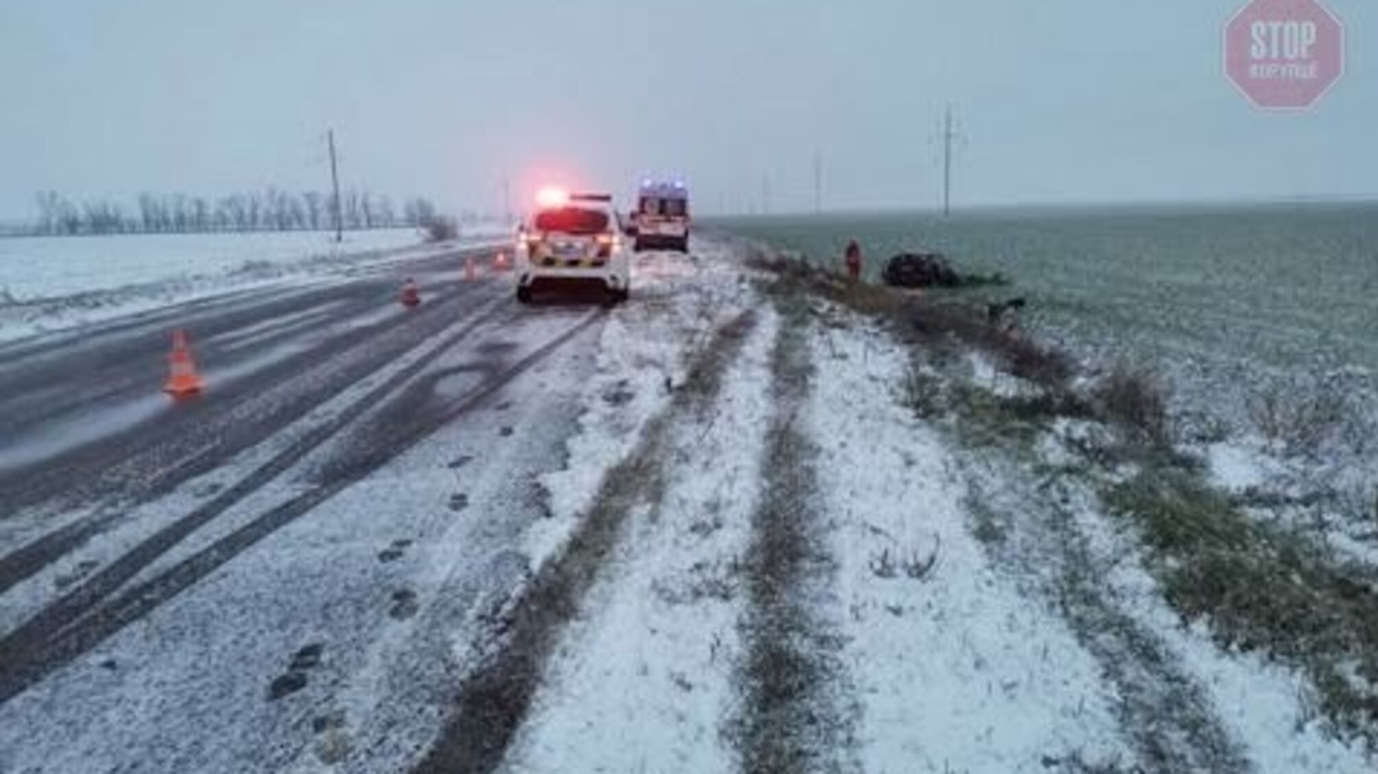 У Запорізькій області спостерігачі 'ОПОРИ' потрапили у ДТП, є поранені (фото)