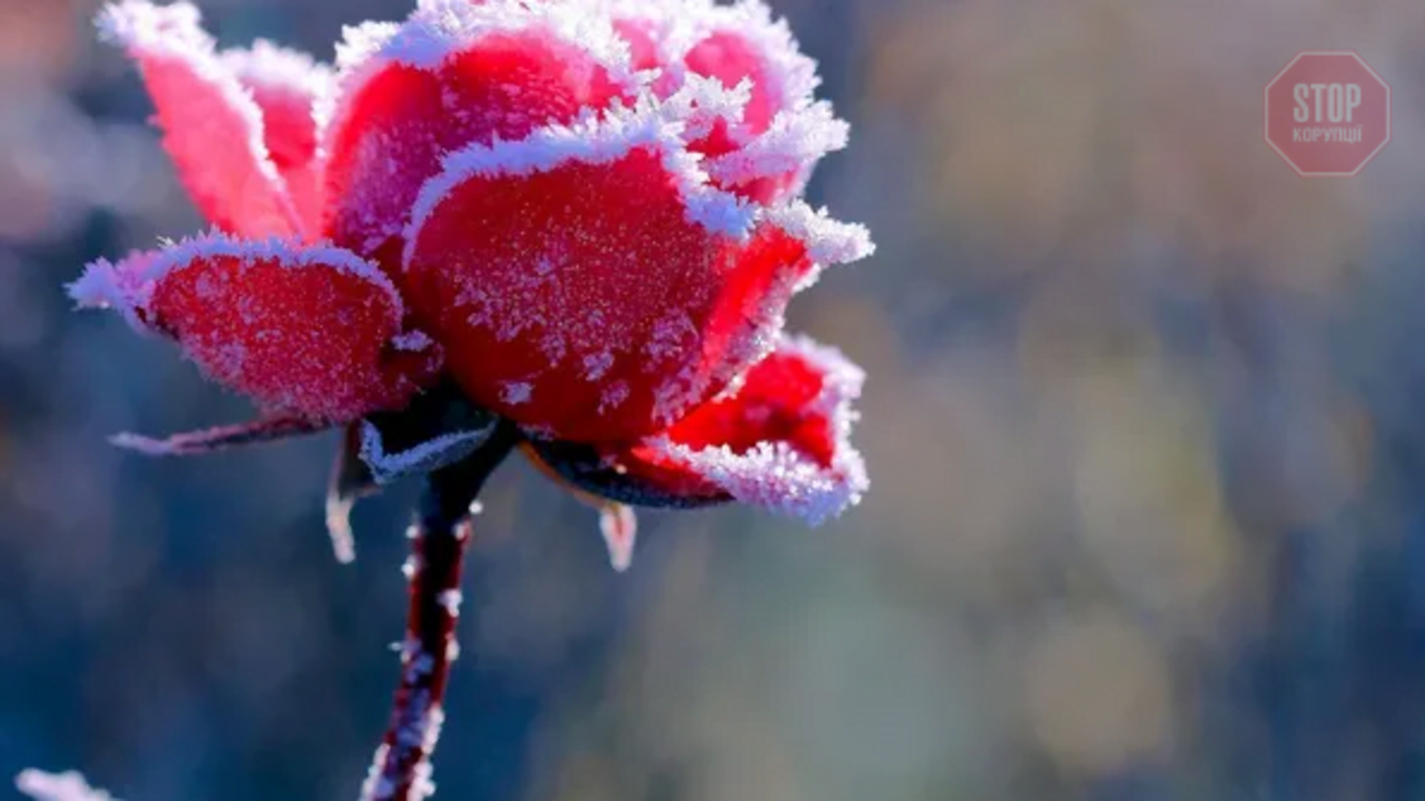 Штормовий вітер та морози: на Україну насувається антициклон Thodo