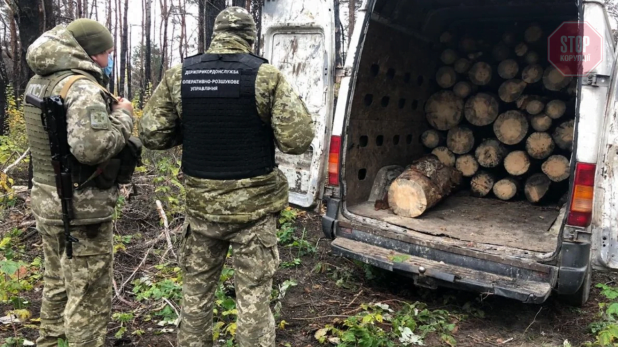 На Київщині росіянин-нелегал крав ліс (фото)