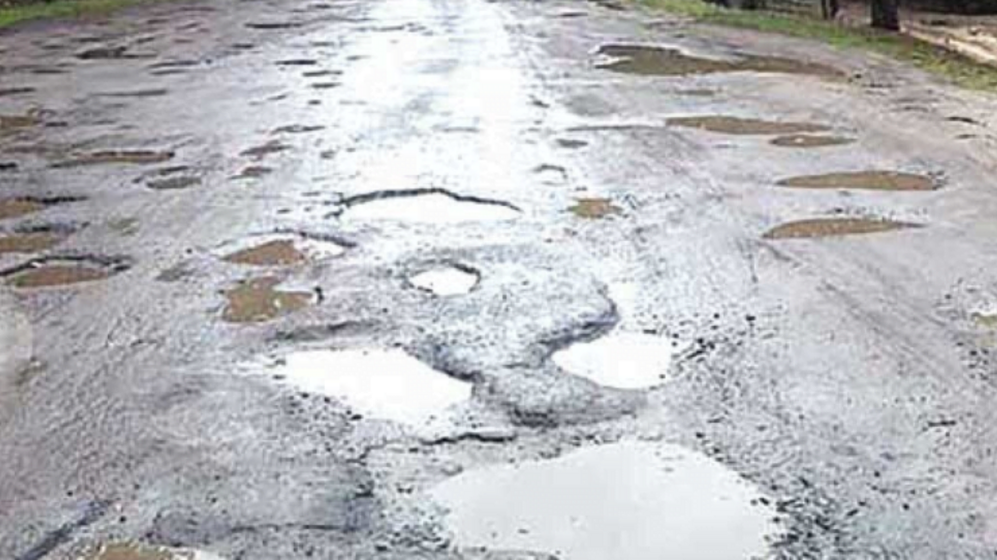 30 кілометрів за 2 години: Житомирська ОДА починає будувати дорогу після звернення активіста