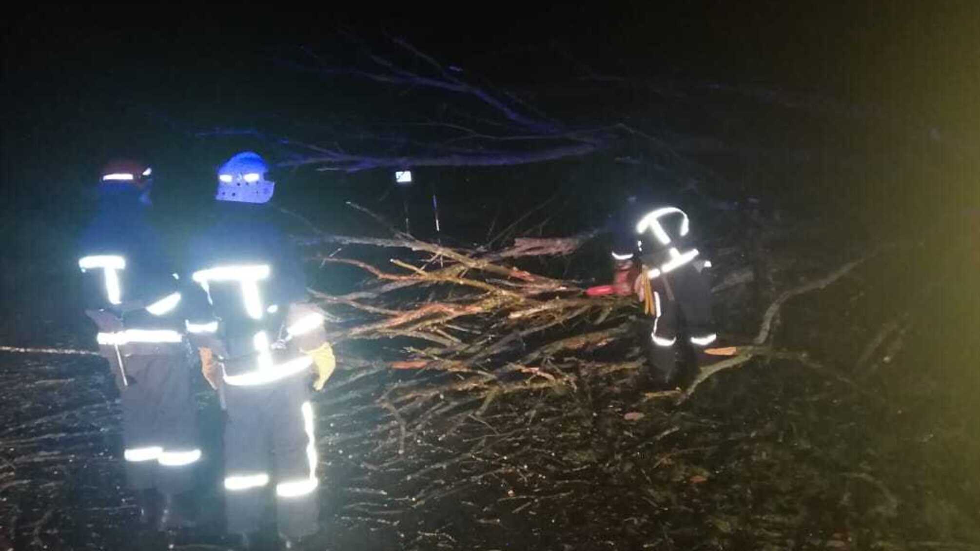 Івано-Франківська область: рятувальники розчищали проїжджу частину дороги від дерев, що впали
