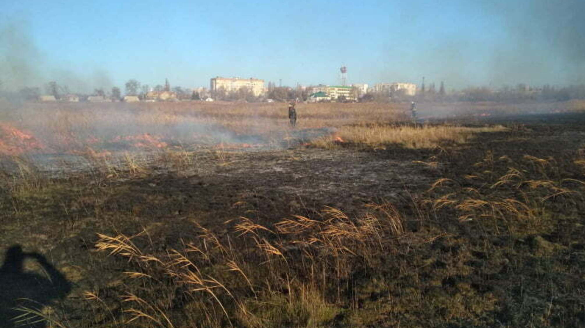 Дніпропетровська область: рятувальники ліквідували пожежу в природній екосистемі