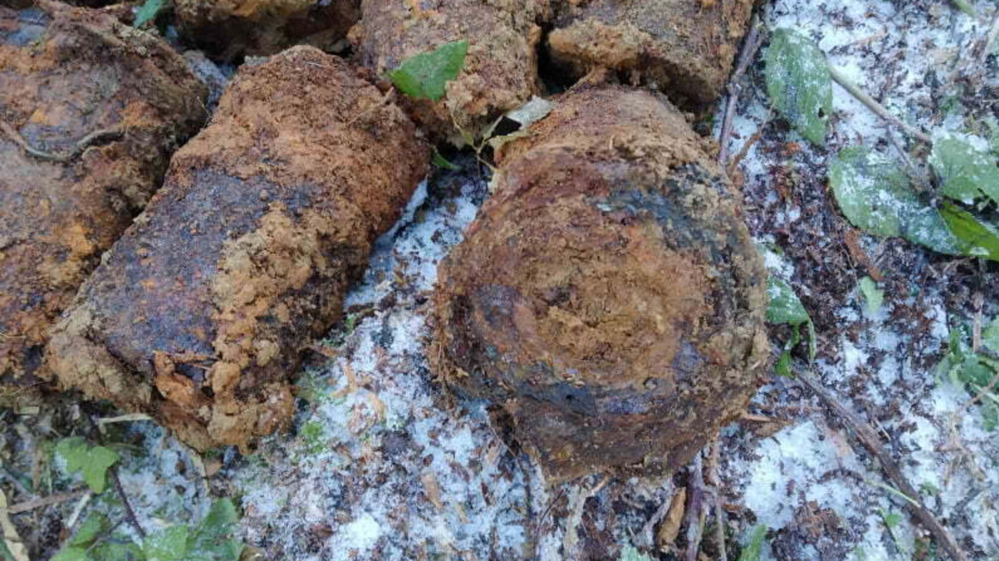 Закарпатська область: на Рахівщині піротехніки знищили 38 мінометних мін
