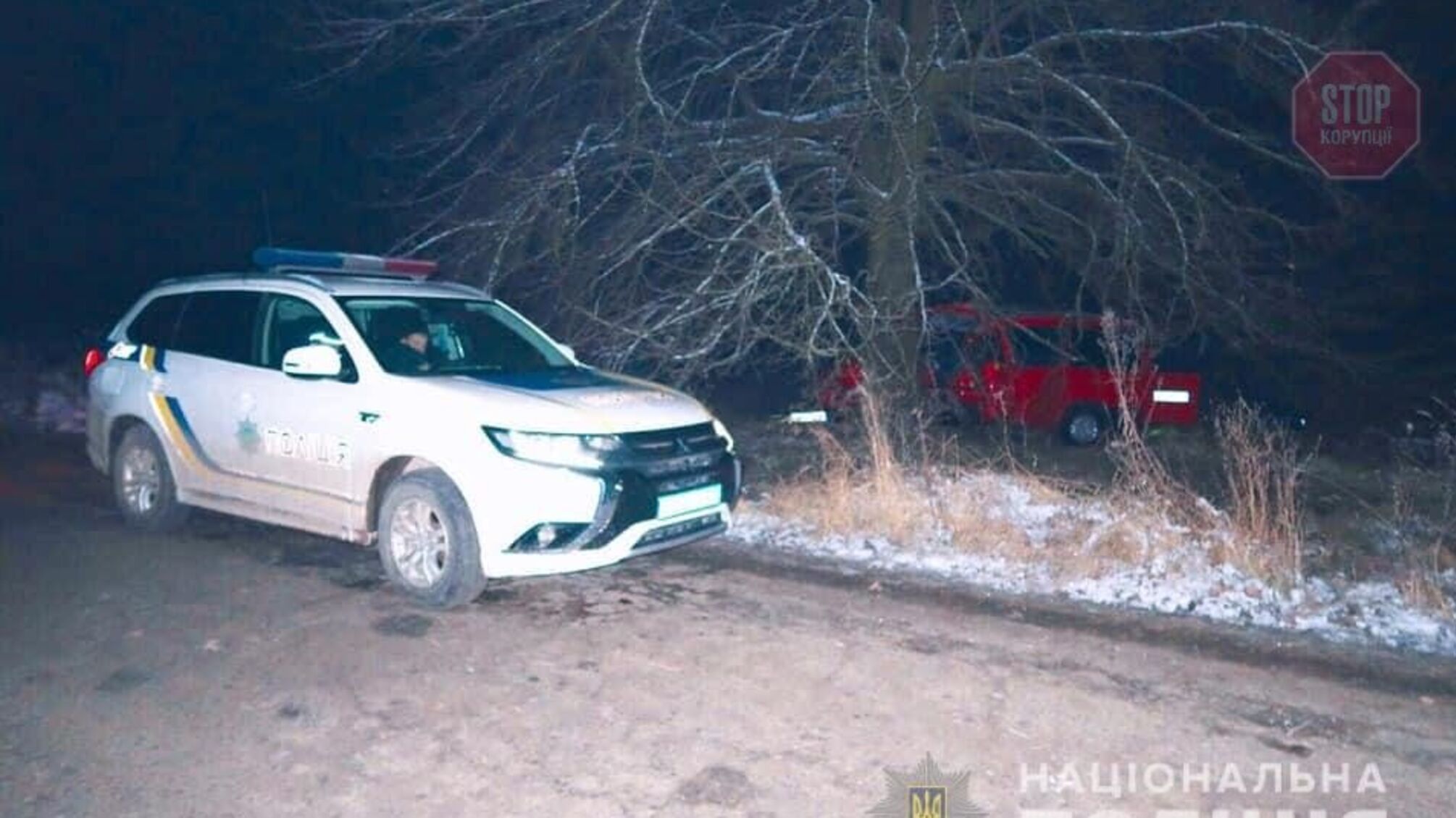 На Прикарпатті мікроавтобус врізався у дерево, є загиблі (фото)