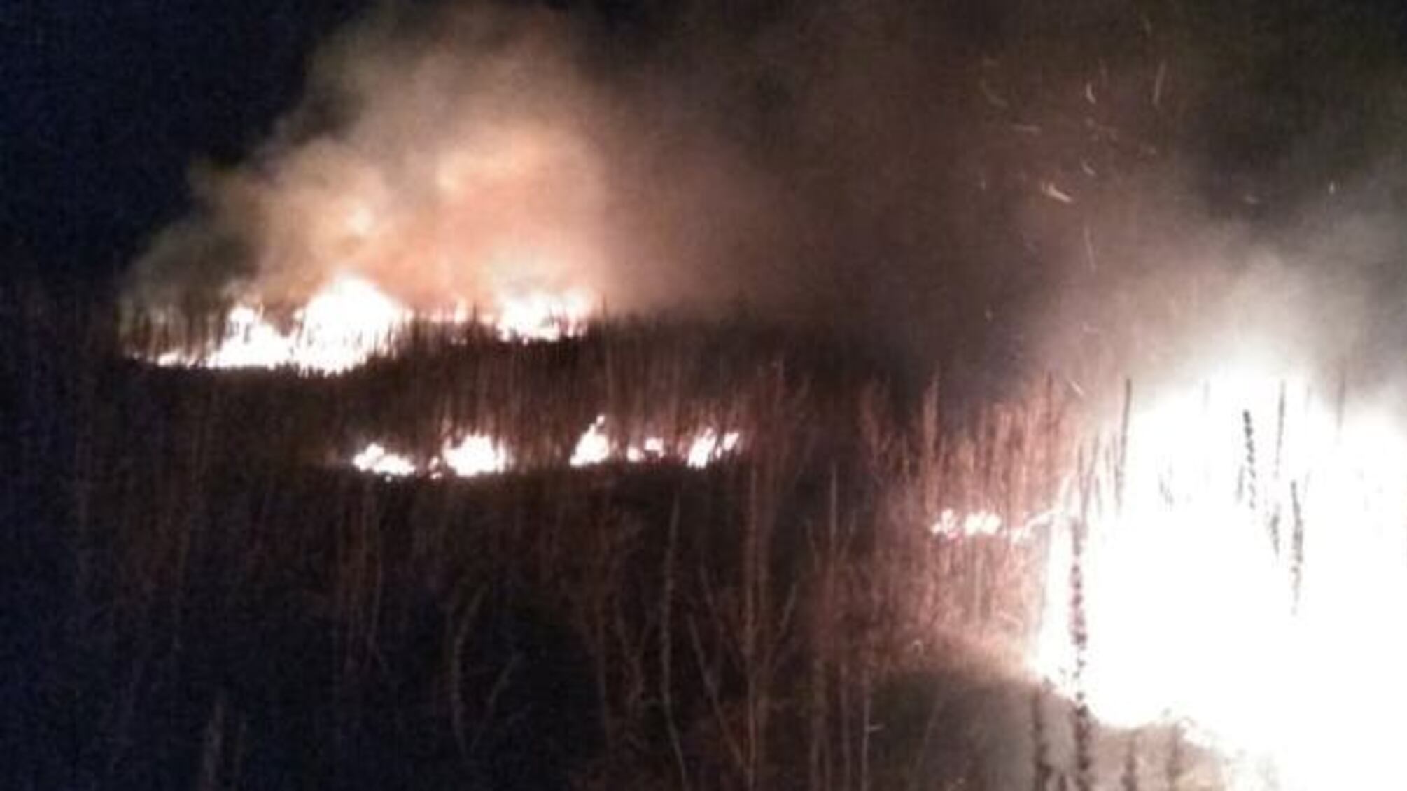 Львівська область: вогнеборці ліквідували пожежу сухої рослинності