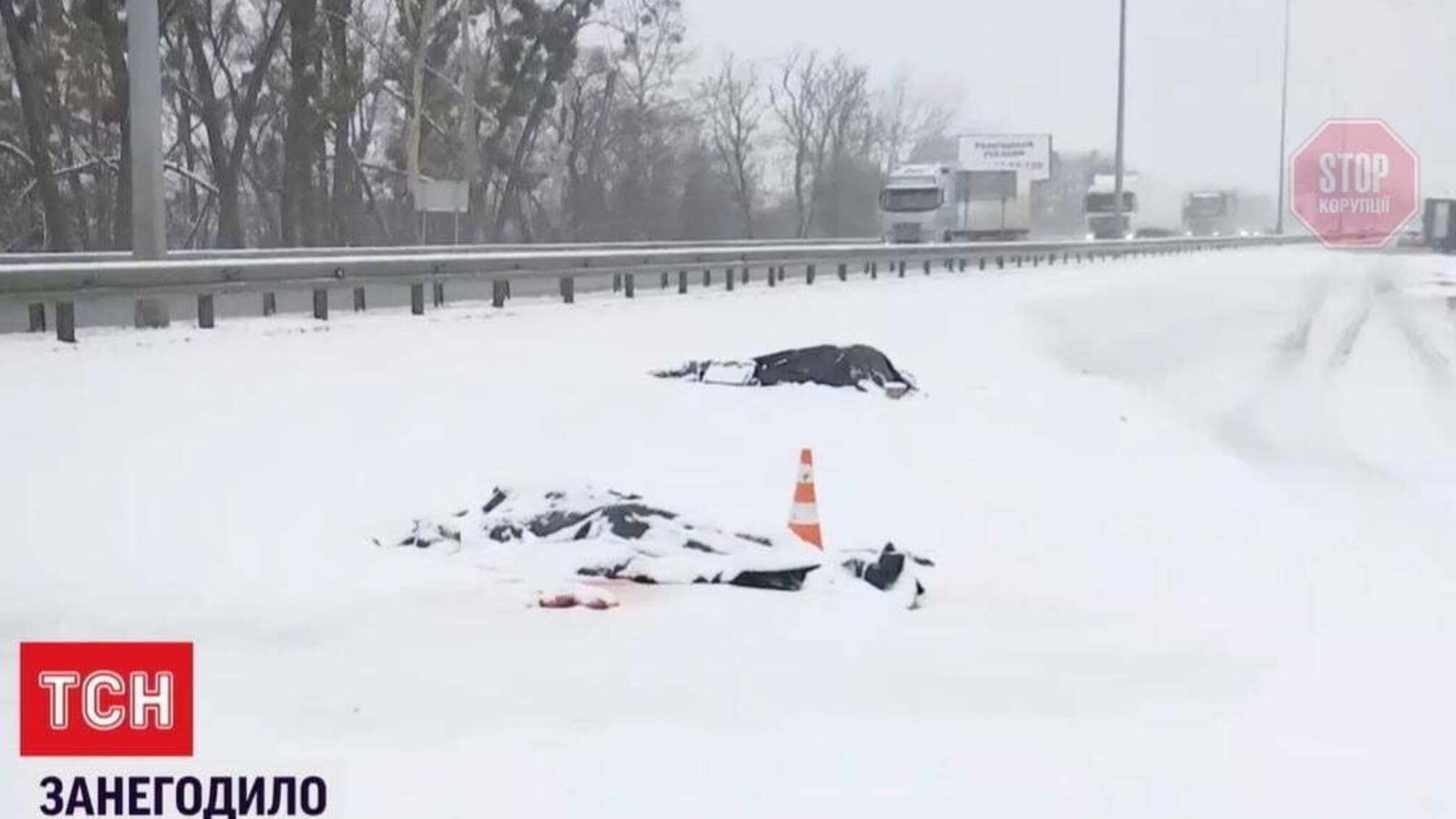 Елітна ДТП на Житомирщині: Porsche на смерть збив подружню пару (фото, відео)