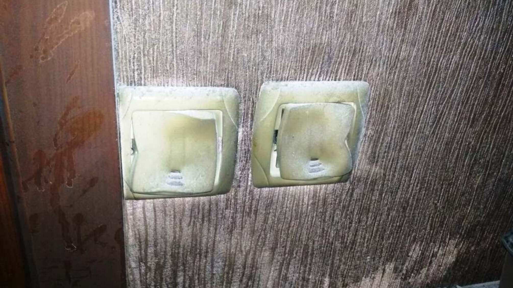 Житомирська область: рятувальники ліквідували пожежу гаражу та автомобіля